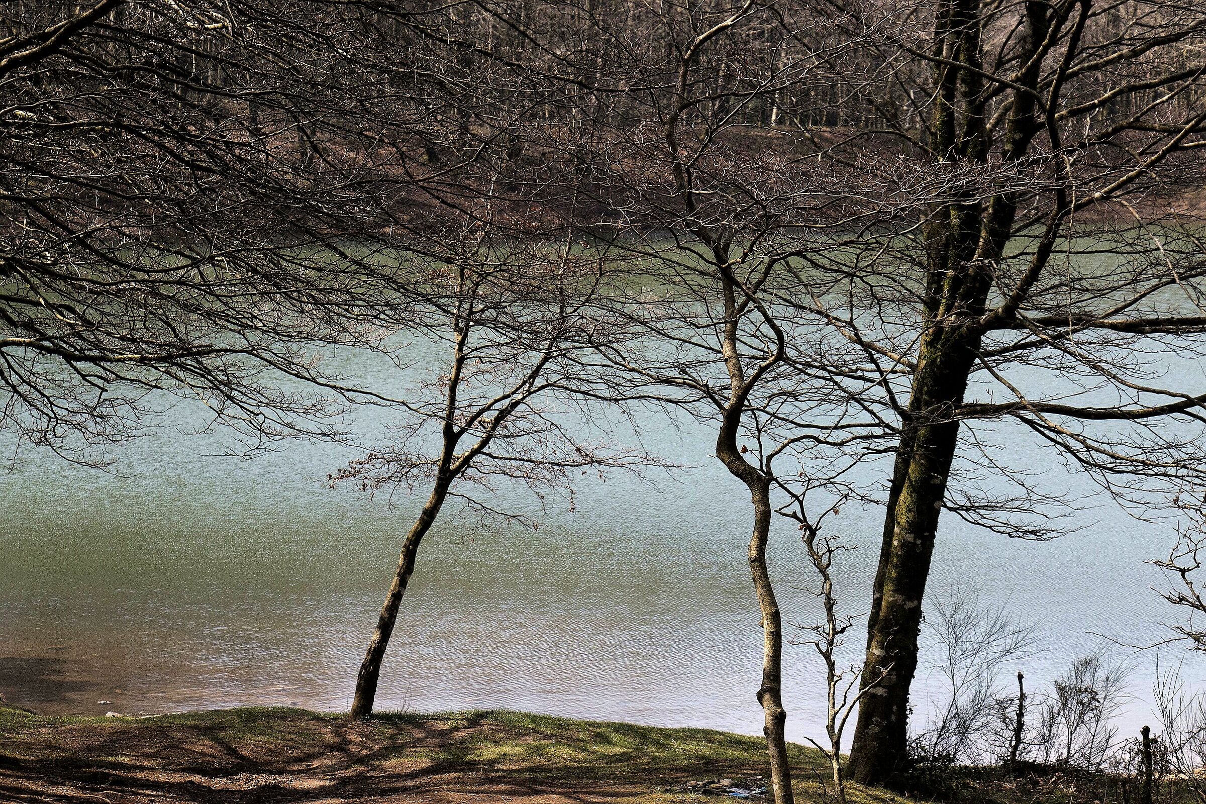 Untitled Photo...