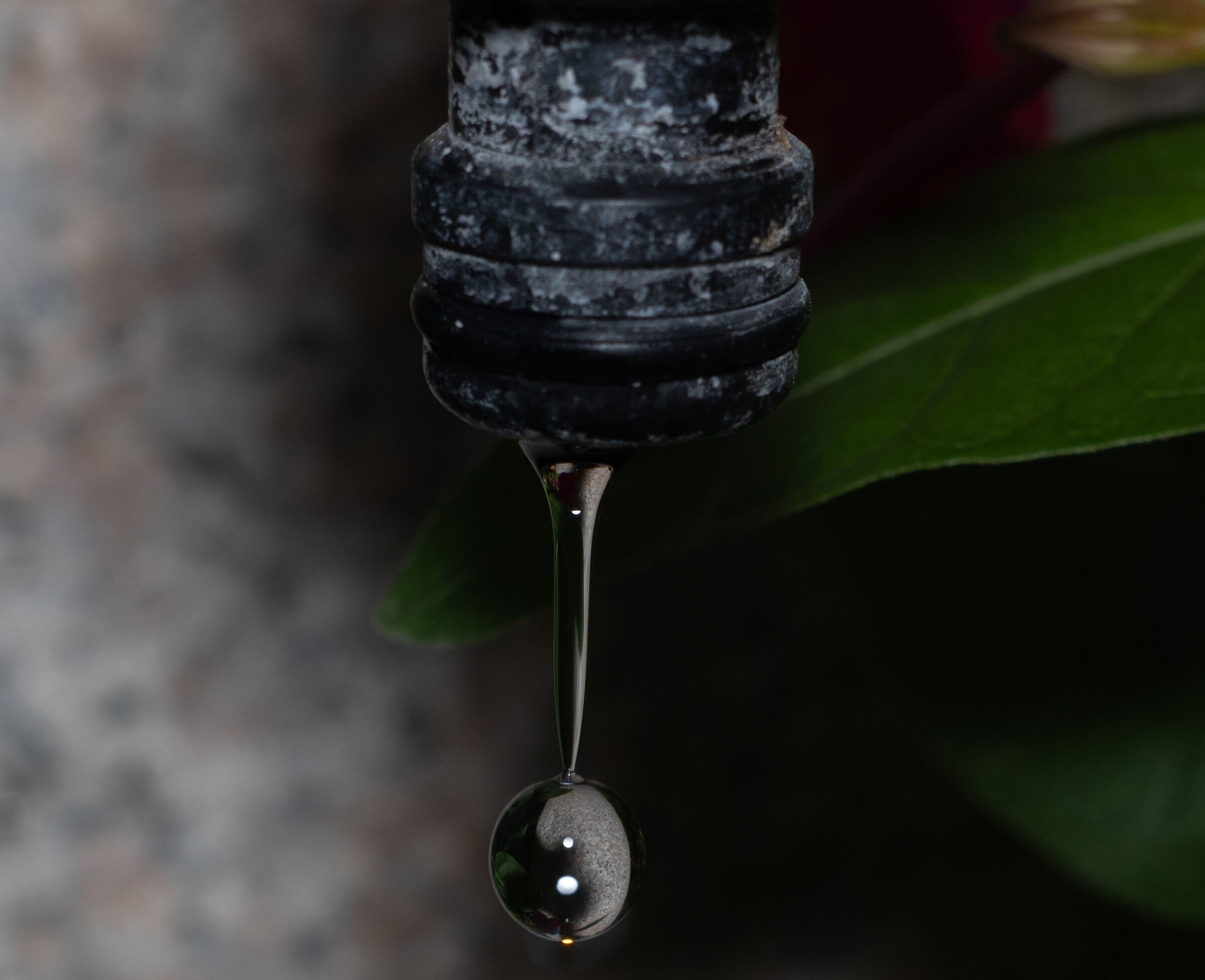 drop of water tap garden 27/07/2020...