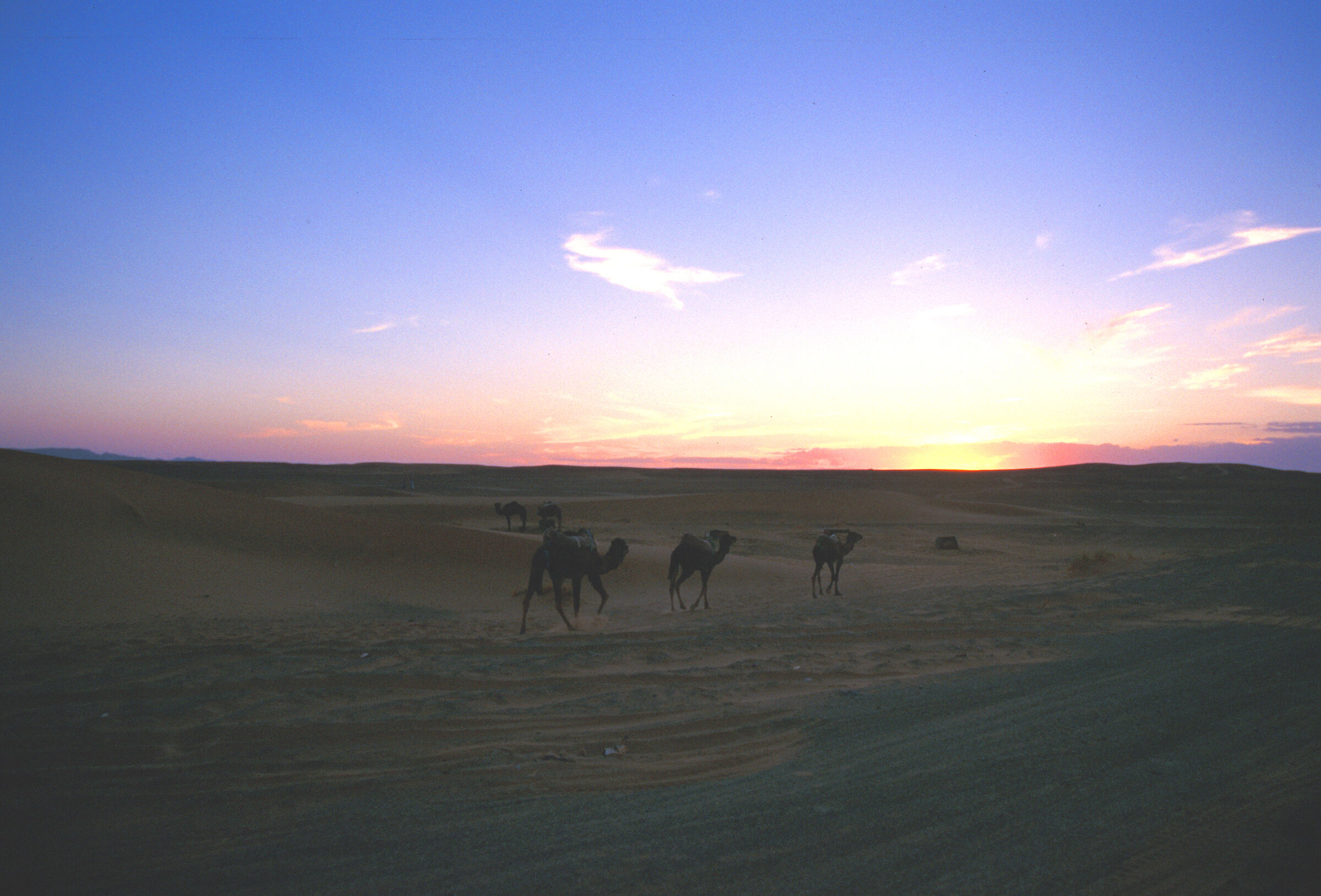 Sunset in the Sahara...