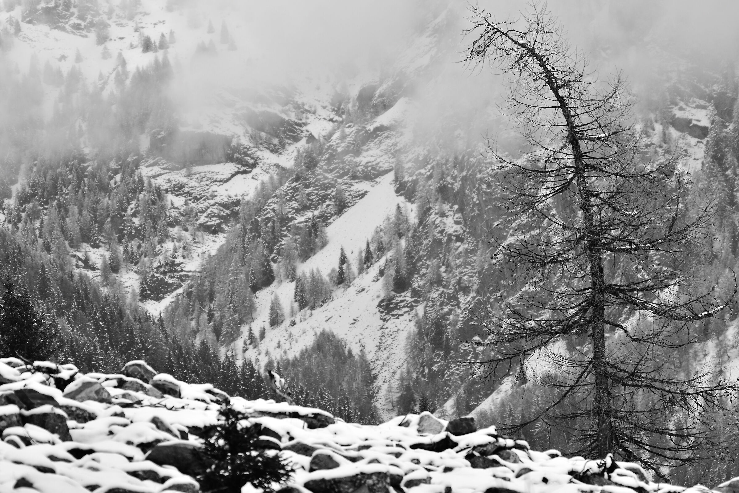 Winter in Val Fontana...