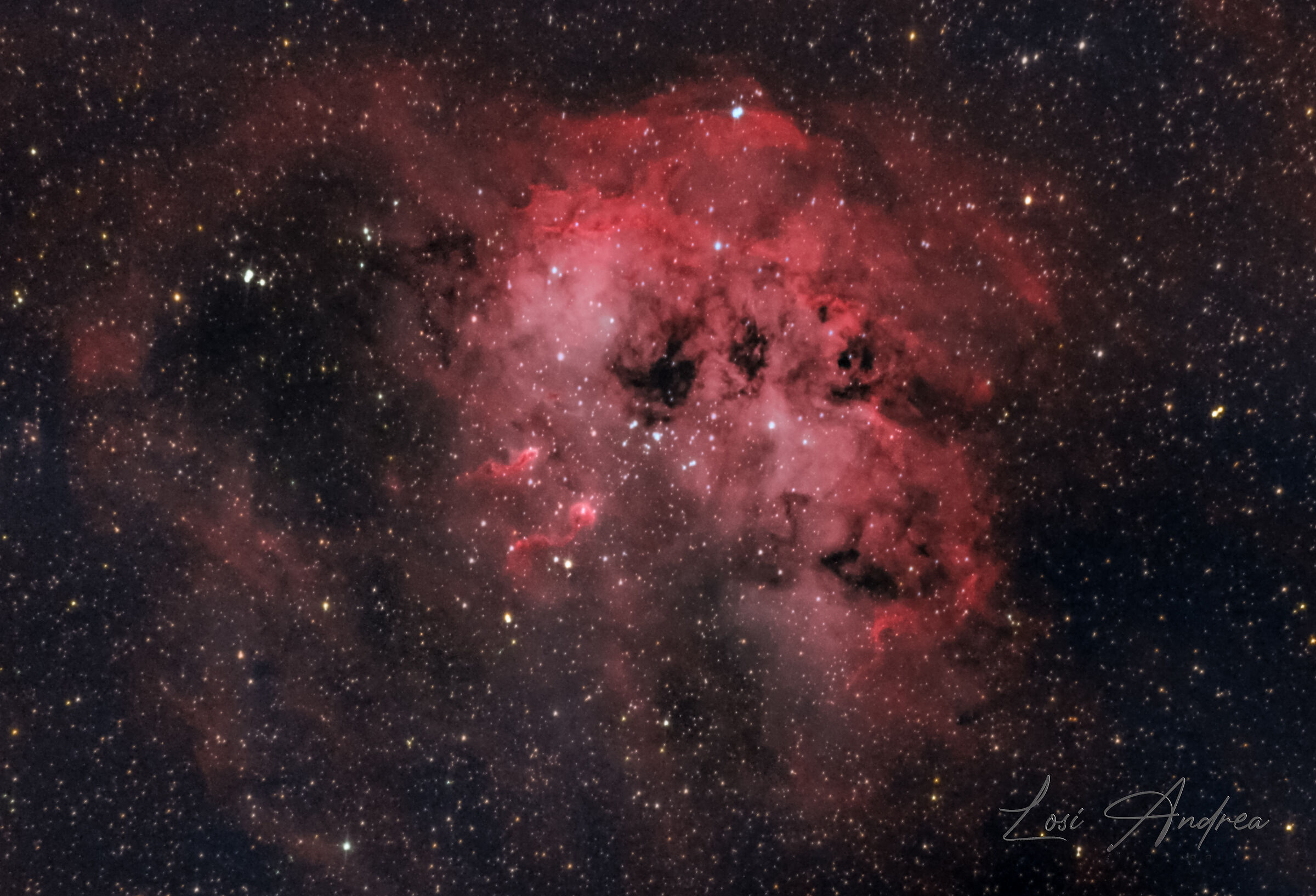 Tadpole Nebula ...