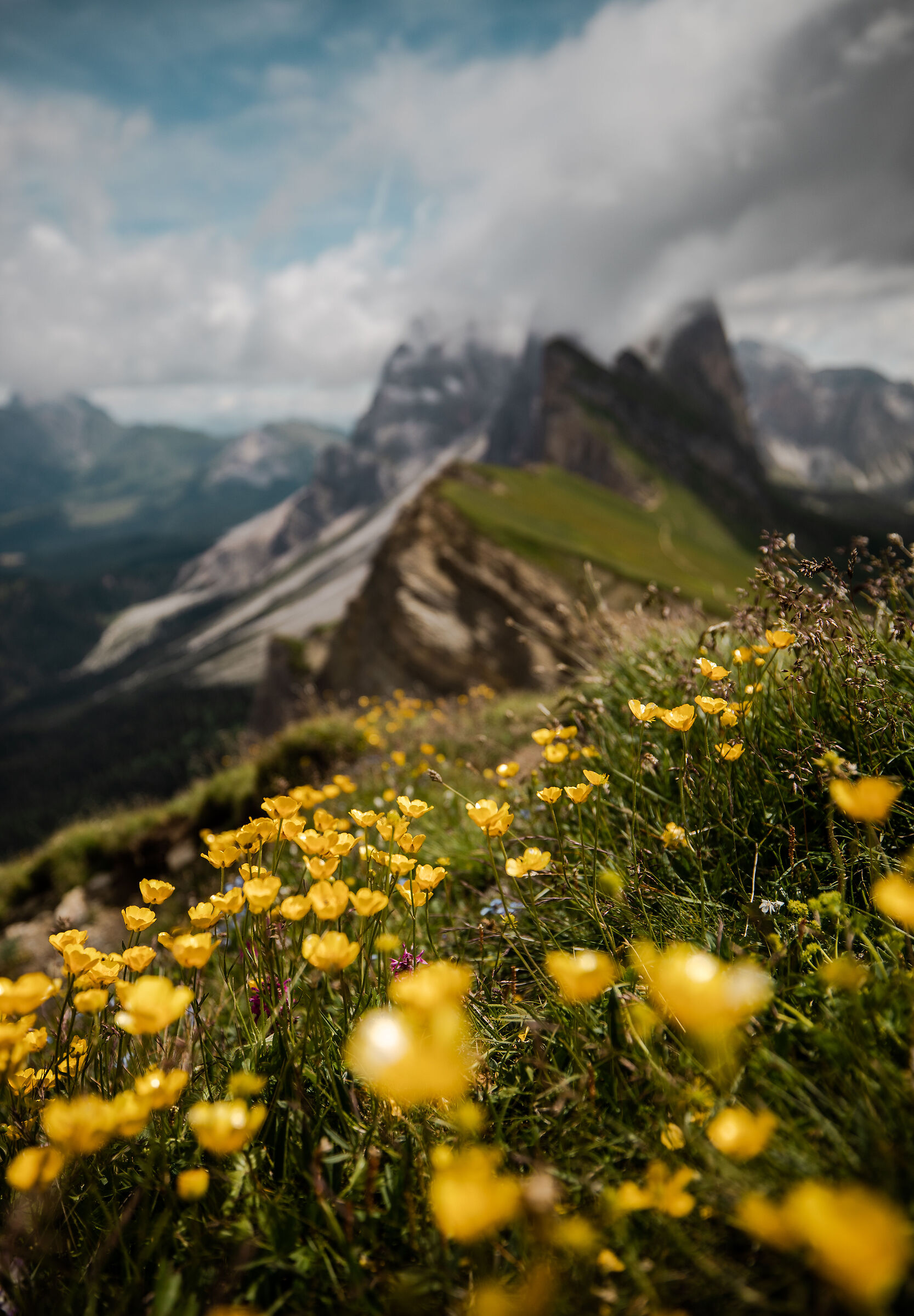 Seceda...