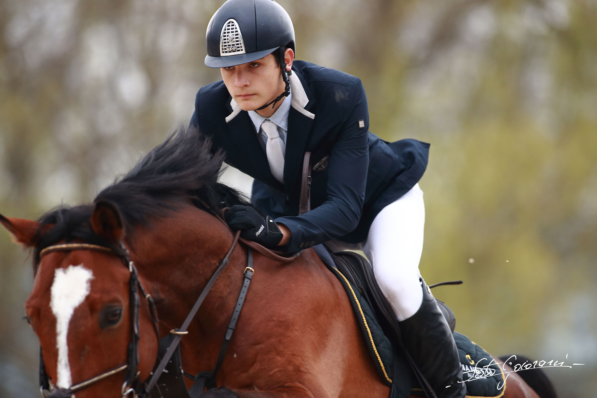 Groppoli Equestrian Center (PT) A1+ Ambassador Competition...
