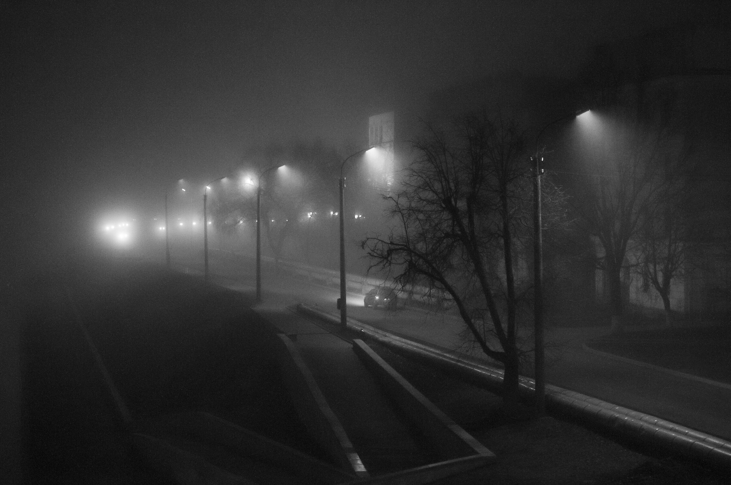 Strada nella notte nebbiosa......