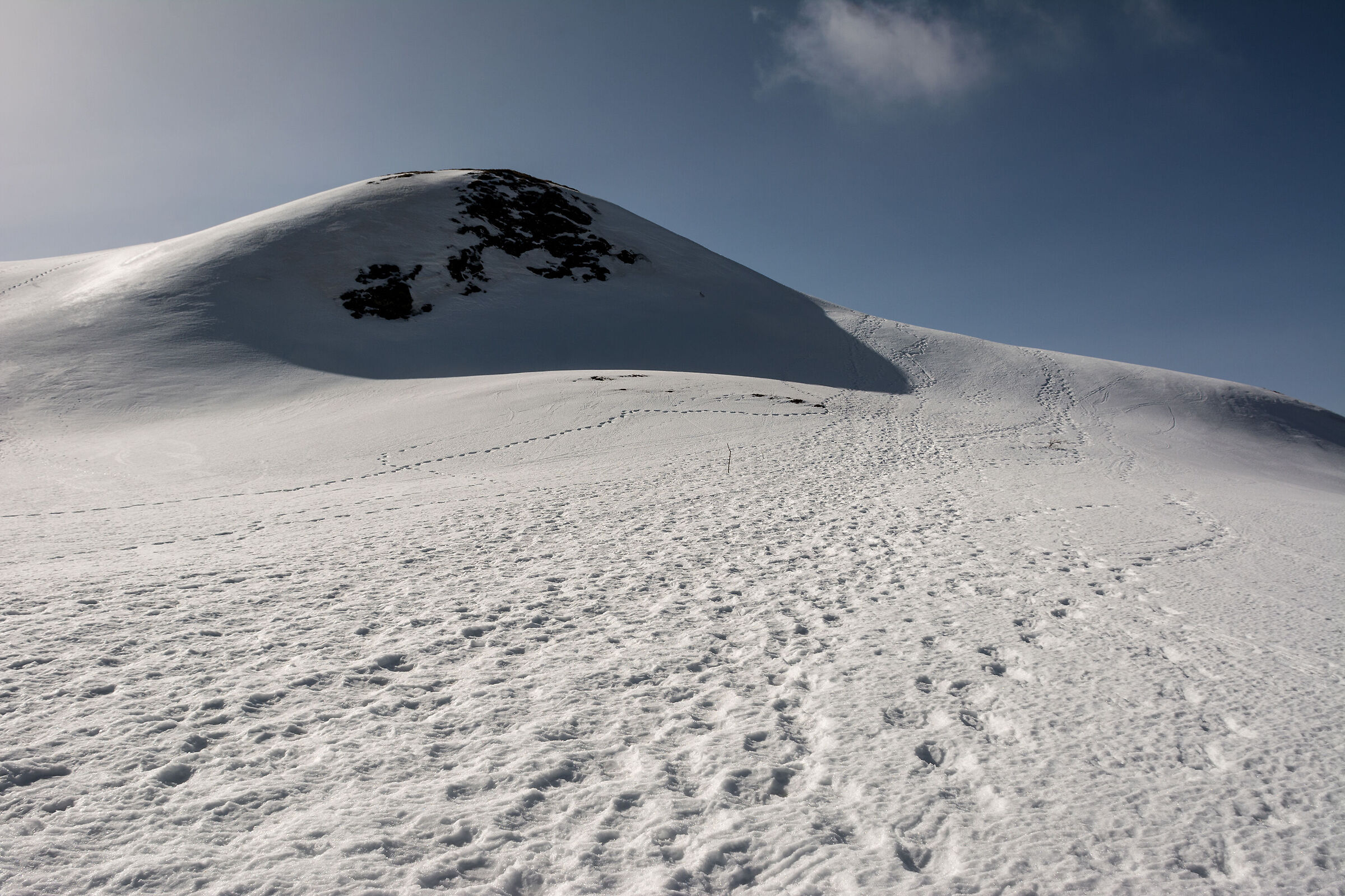 Sulla neve della Val d'Aveto...