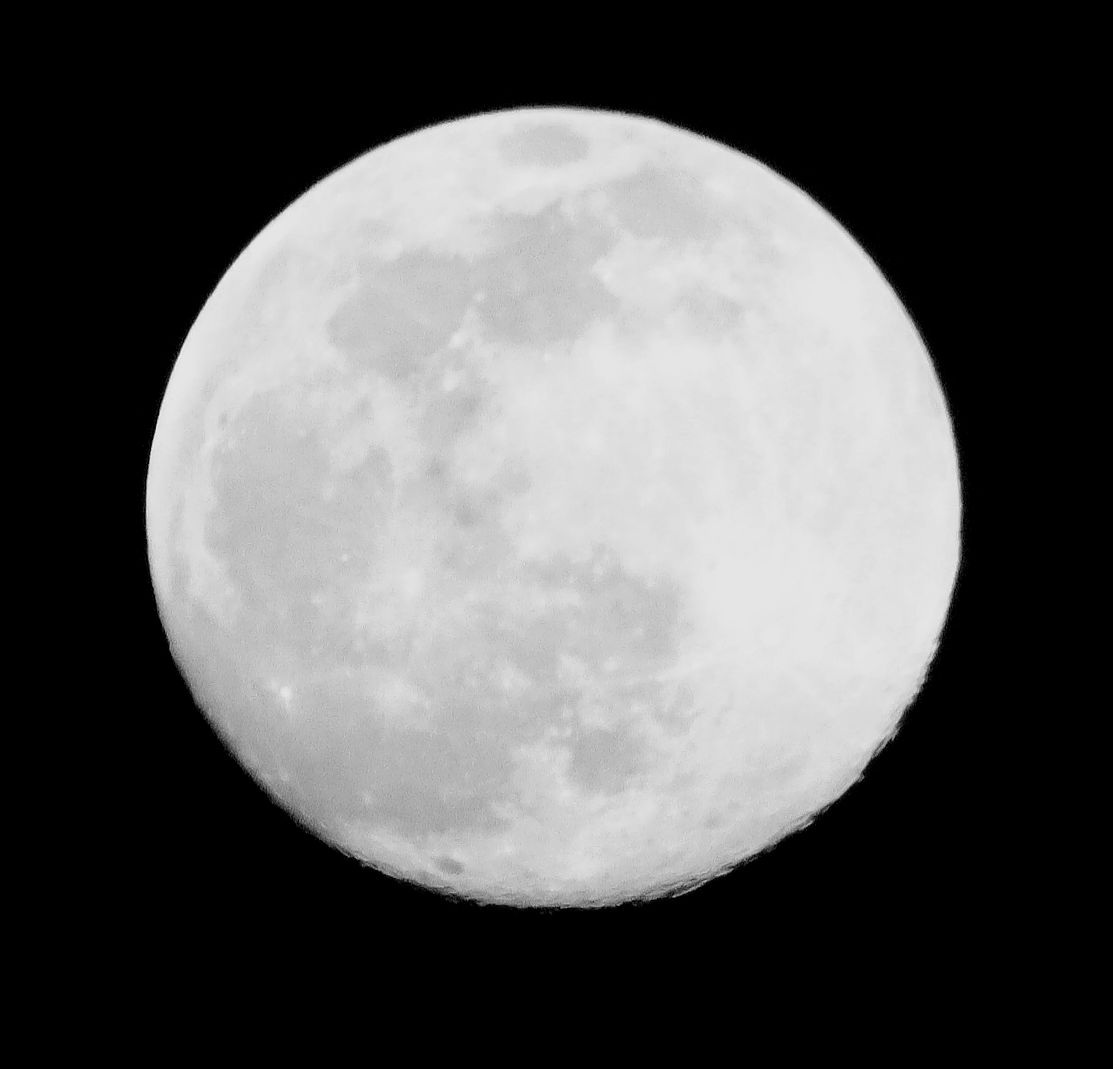 luna,Terre di Coltano...