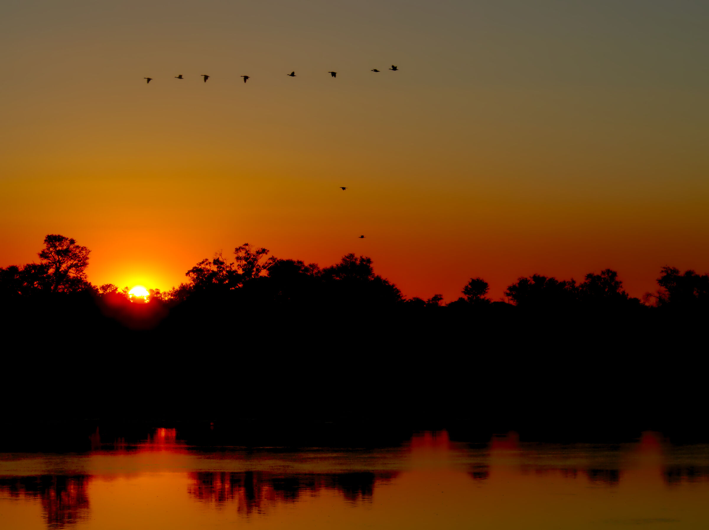 Sunrise over the Okawango River...