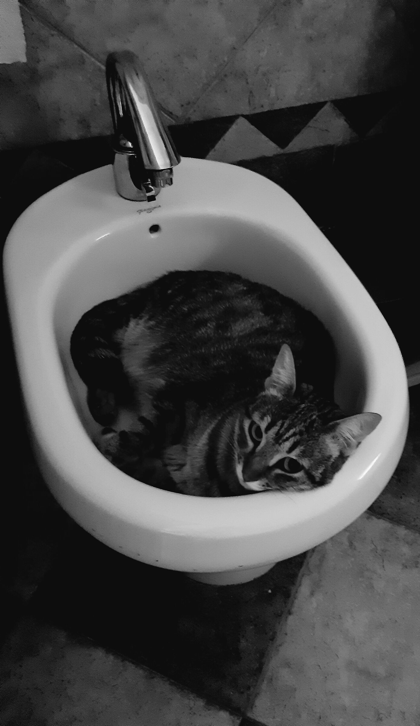 the siesta...
