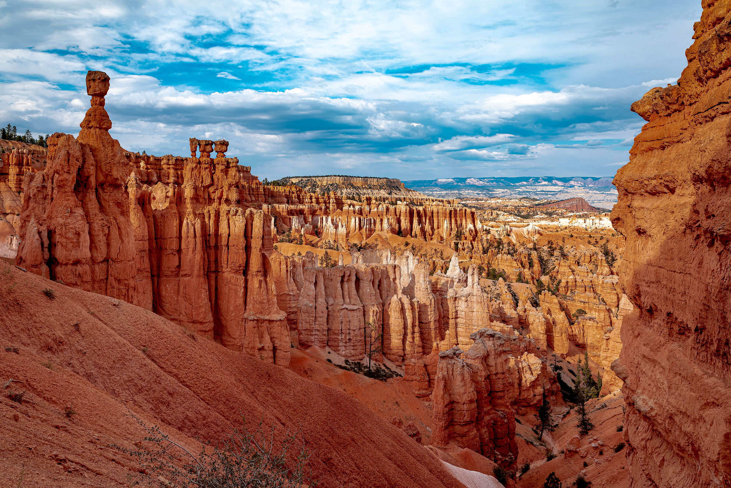 Bryce canyon - nature show...