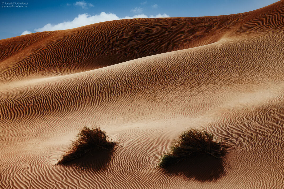 Maranjab Desert...