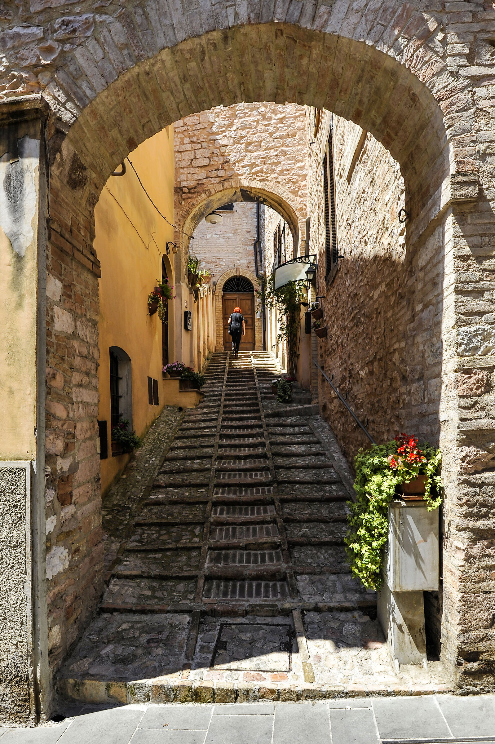 The Way of the House - Spello...