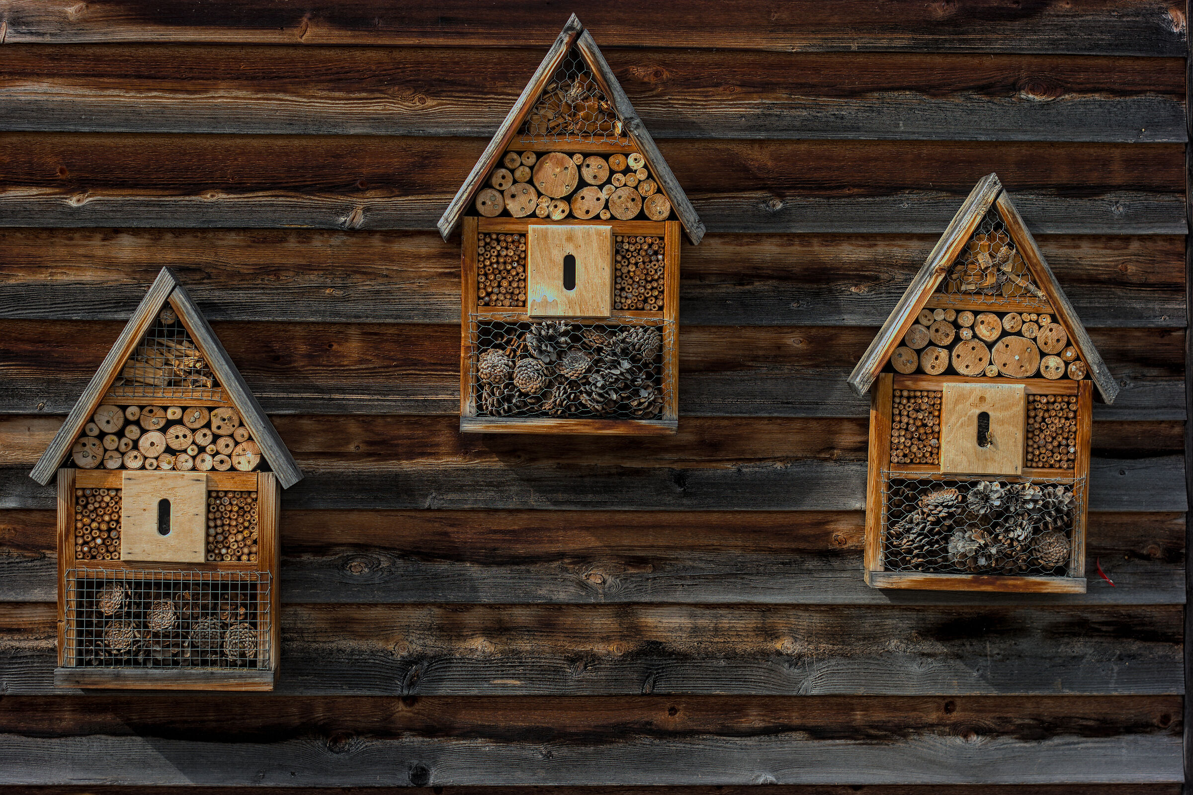 Wild bee houses...