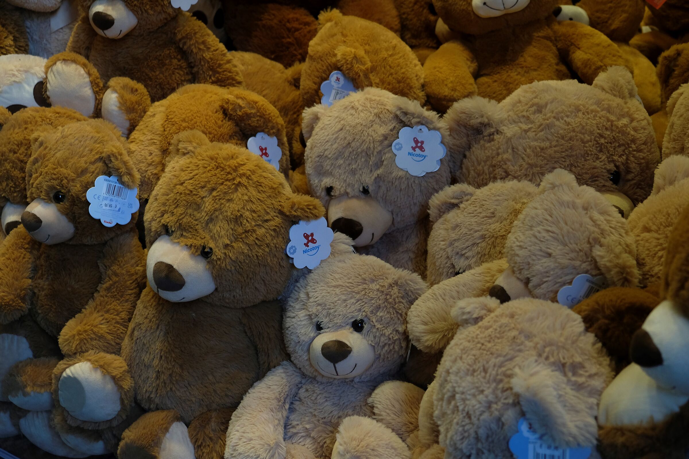 Who wants a teddy bear?...