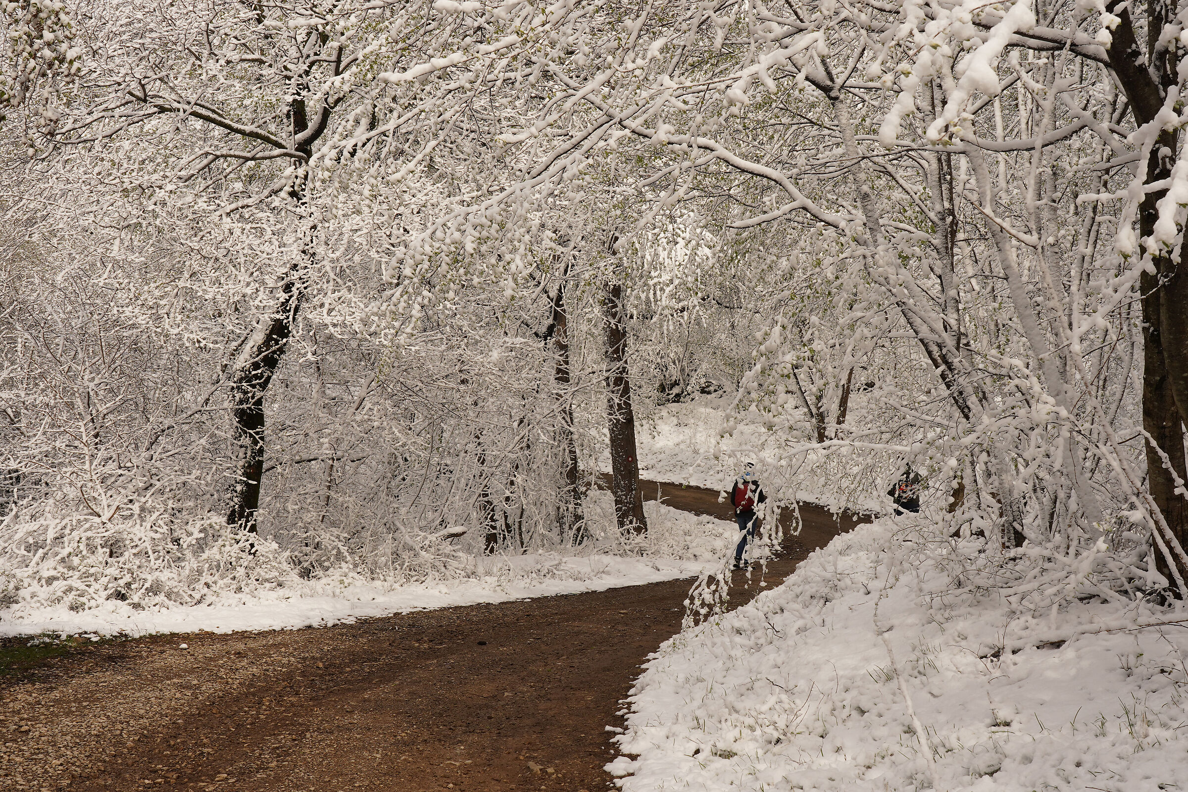 Nevicata ad aprile 4...