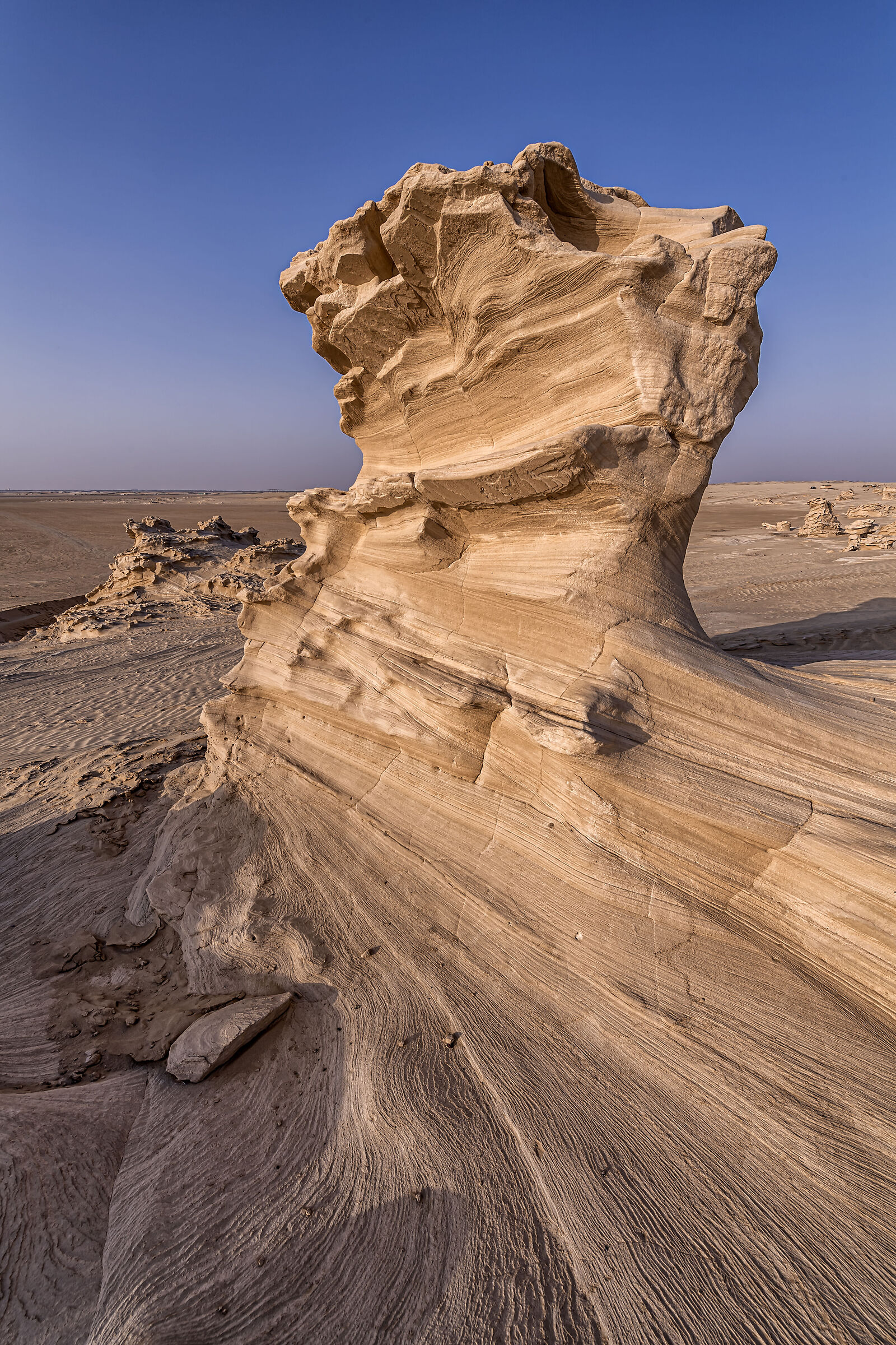 Al Wathba Fossil Dunes...
