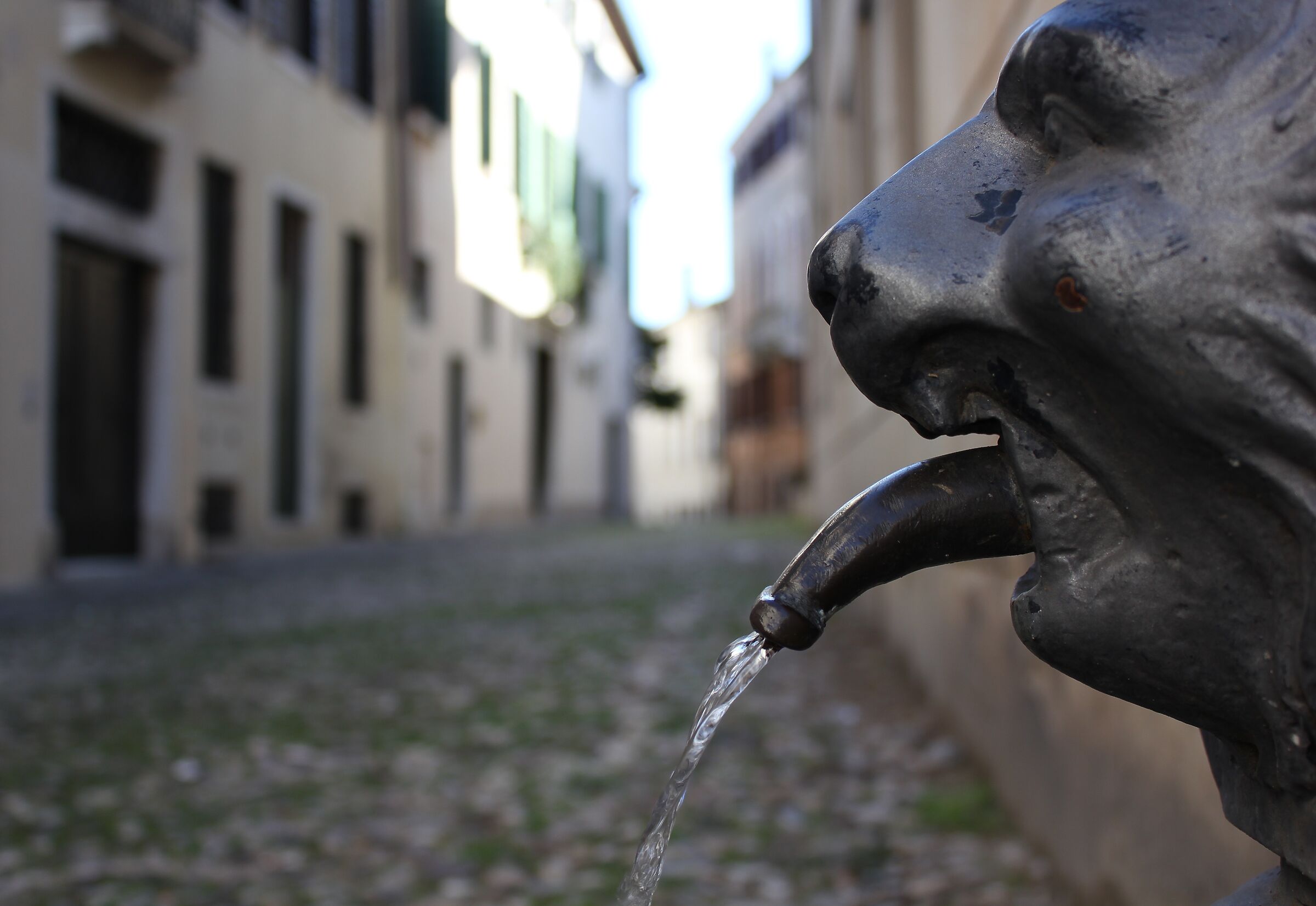 A fountain in Treviso...