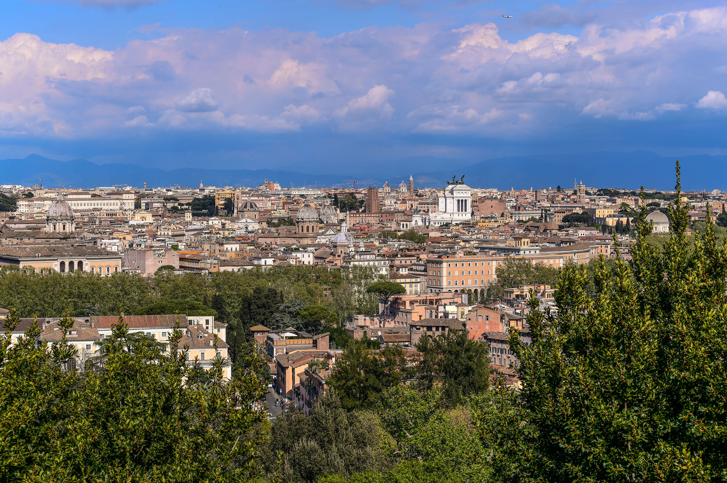 A part of Rome from the Janiculum...