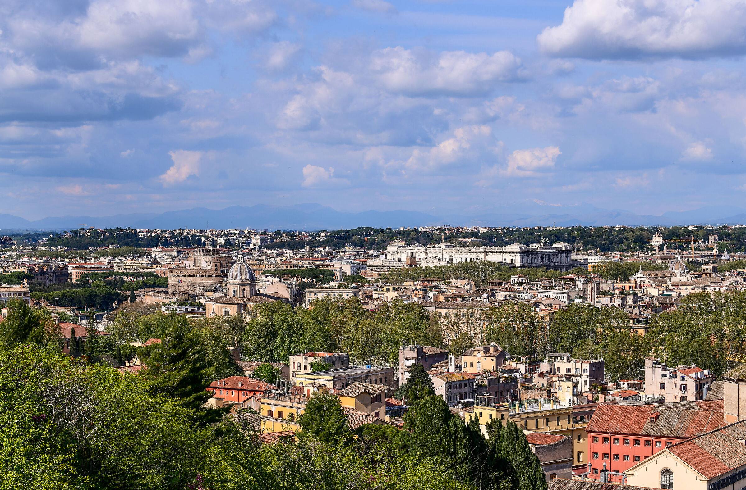A part of Rome from the Janiculum...