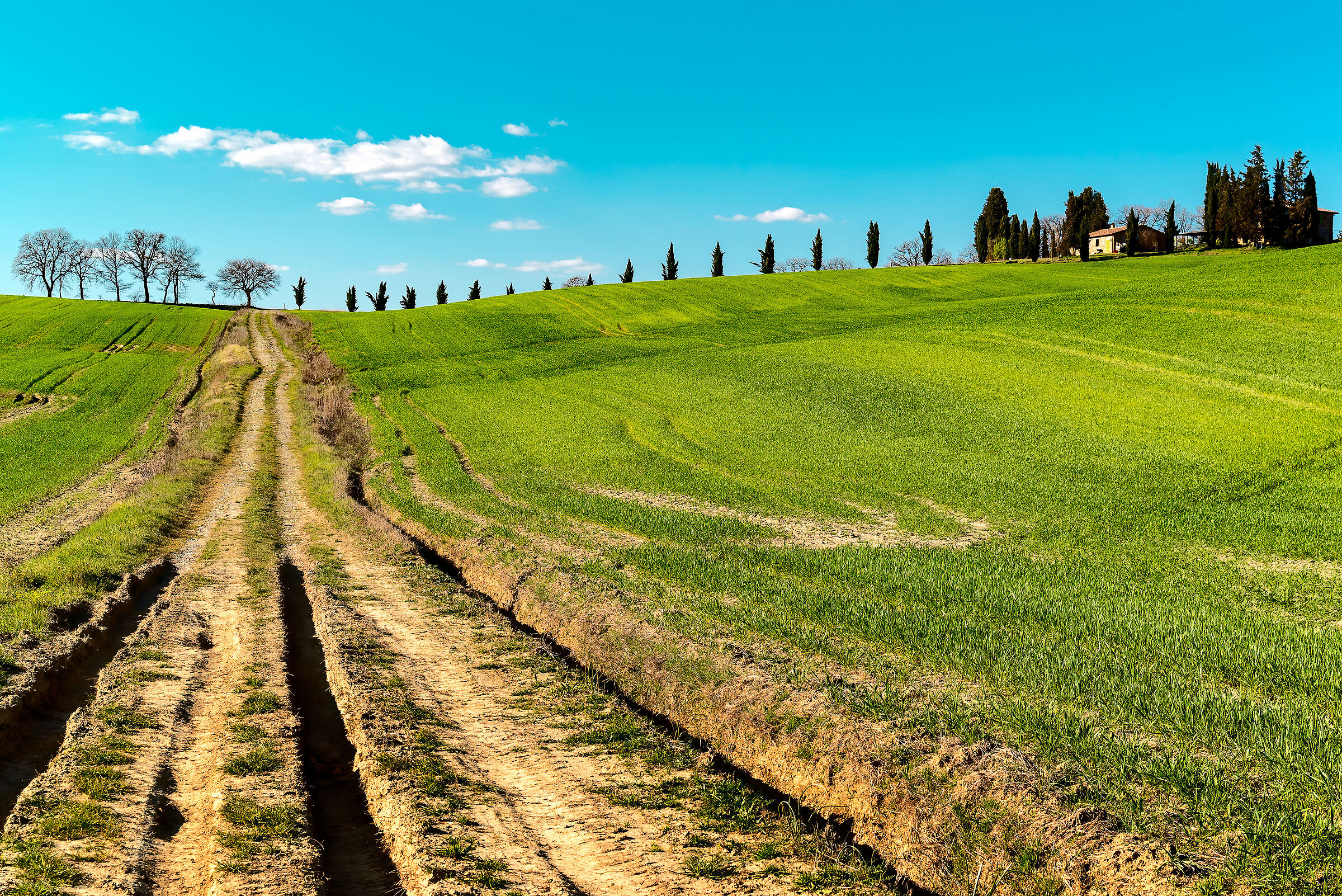 landscape between Umbria and Southern Valdichiana Tuscany...