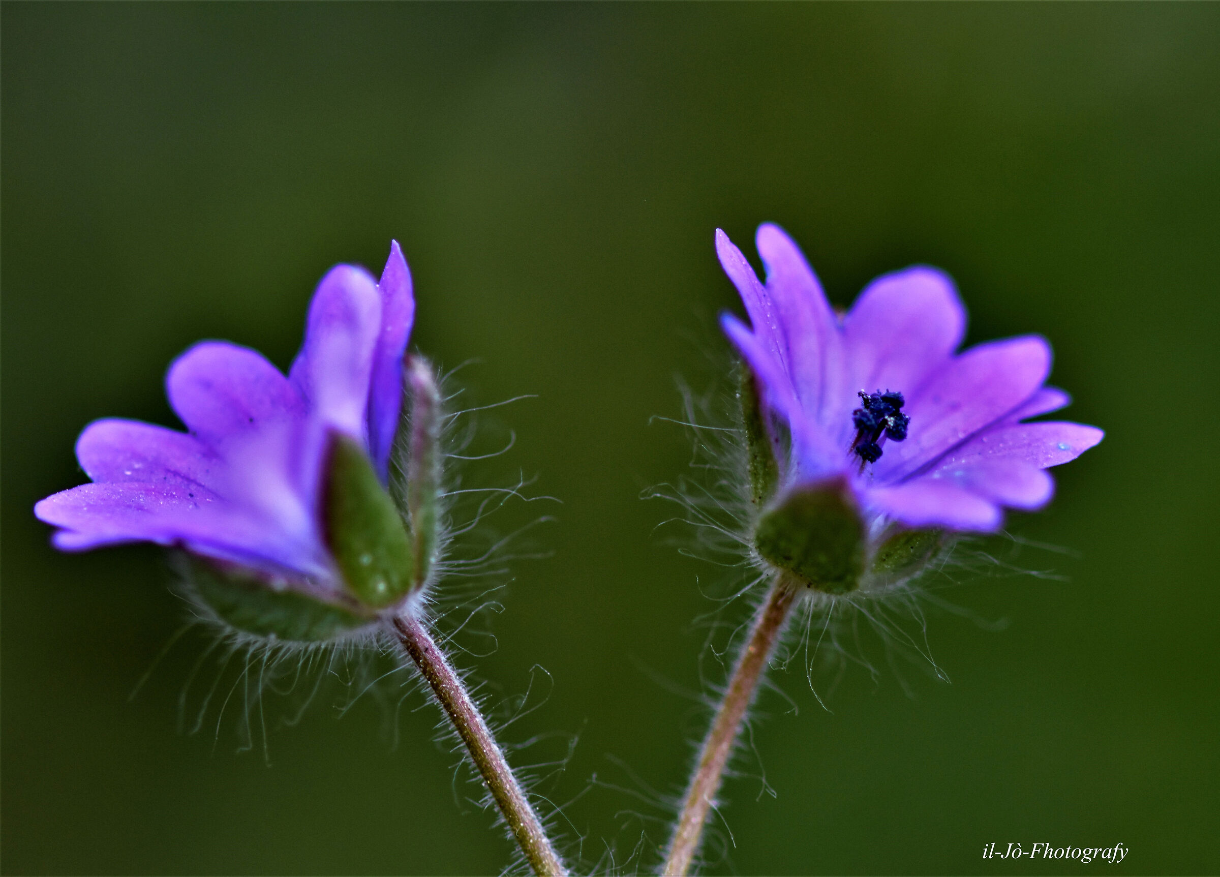Untitled Photo...