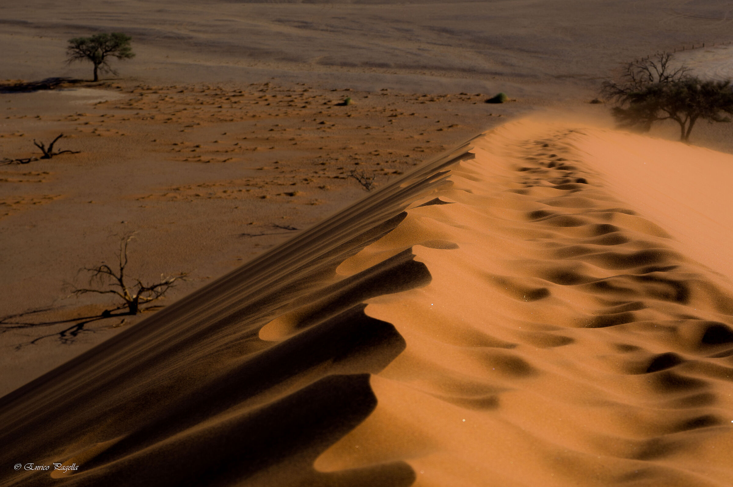 il deserto e la bellezza delle dune...