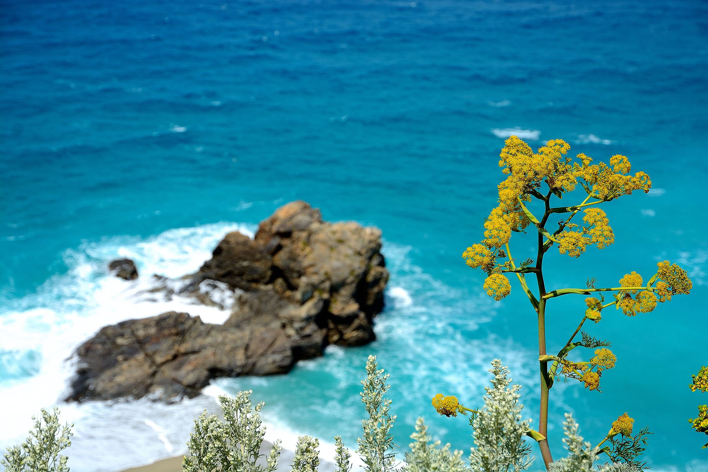 Sea of Calabria...