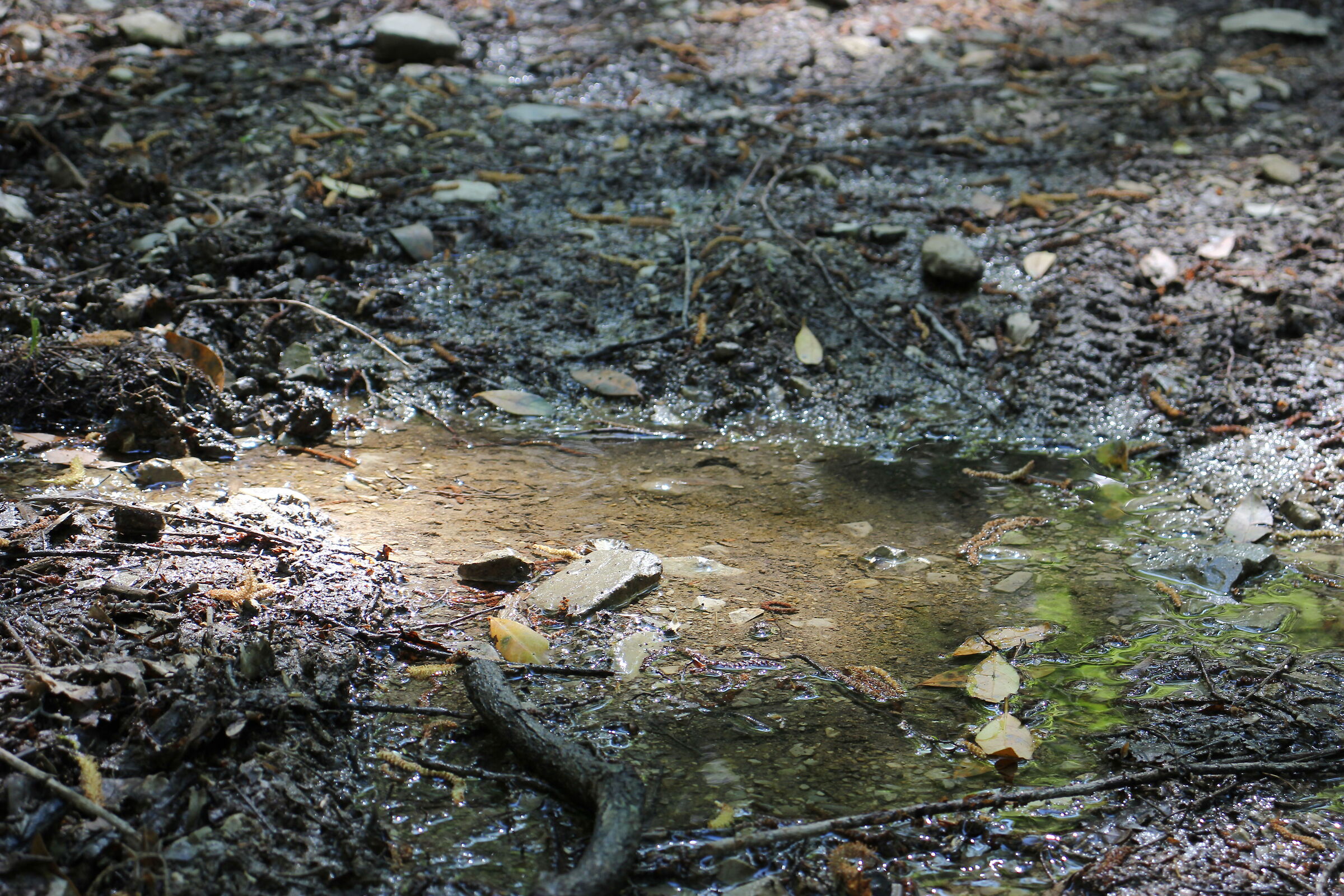 mud...