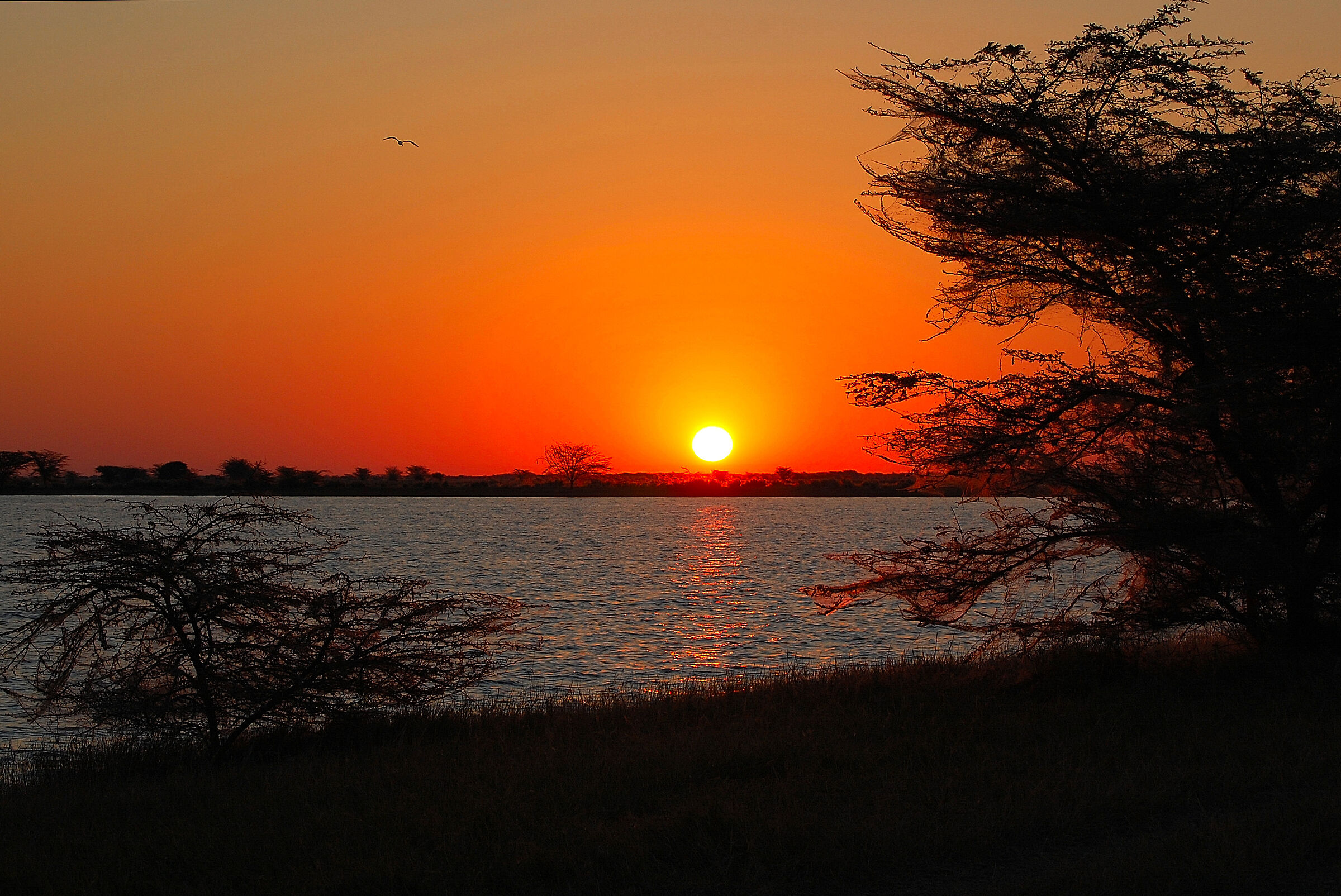 Botswana: sunrise over salt lake Makgadikgadi...