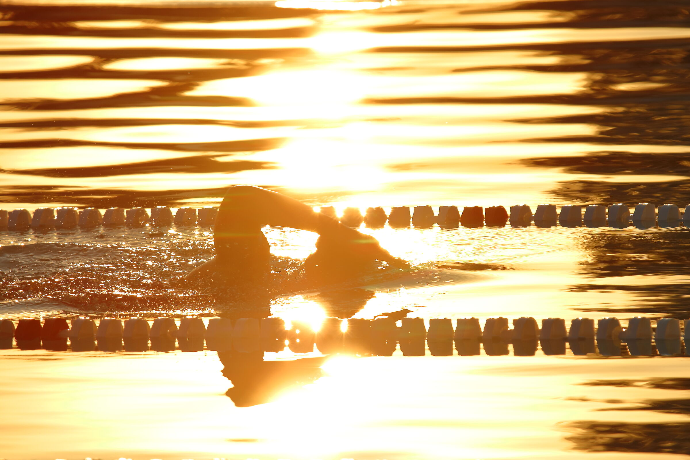 Swimming at sunset...