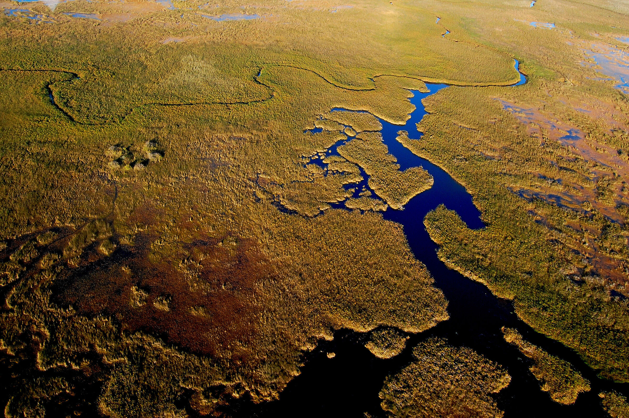 Botswana: flying over the Okavango Delta...