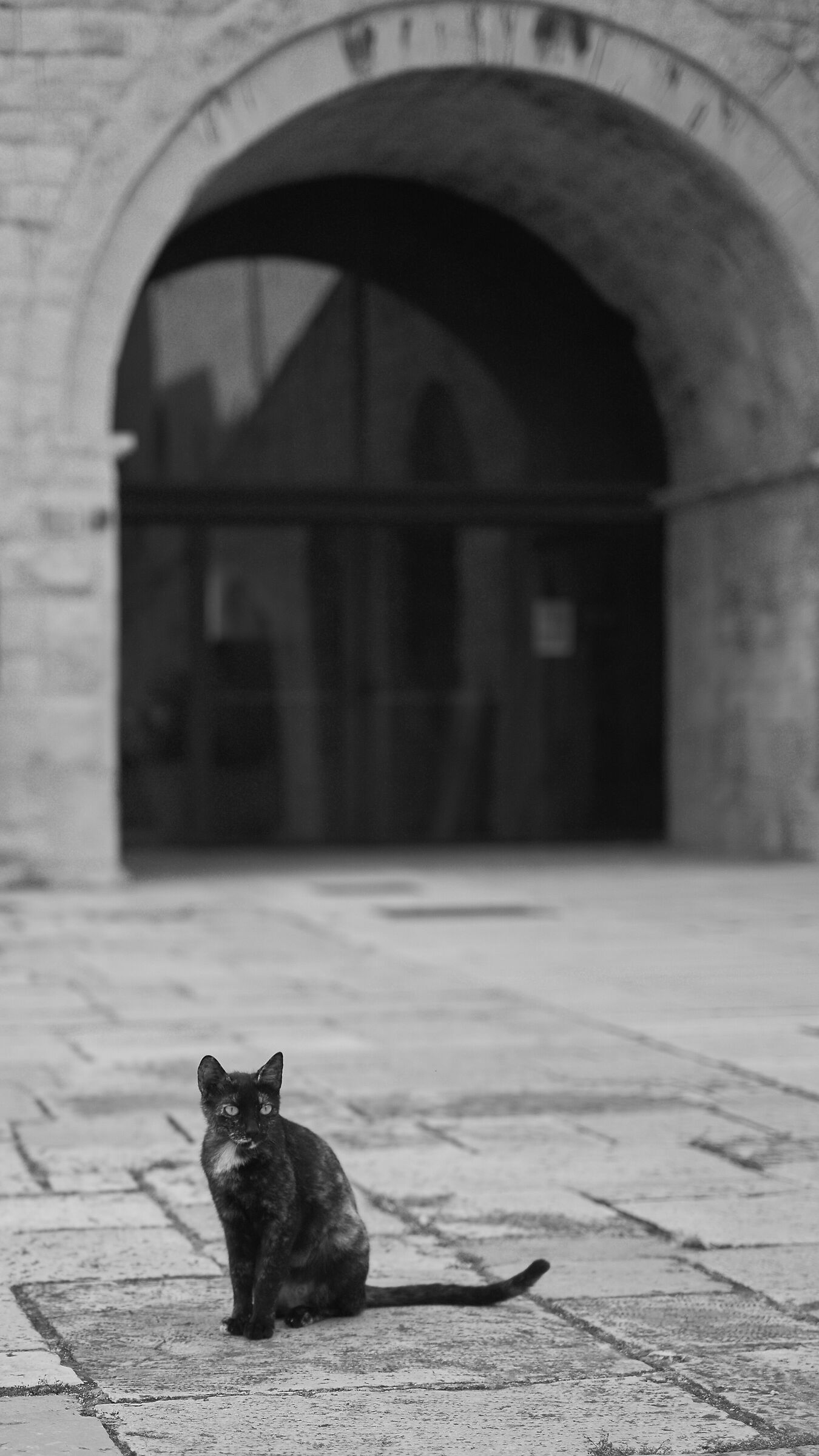 The Guardian of the Castle...