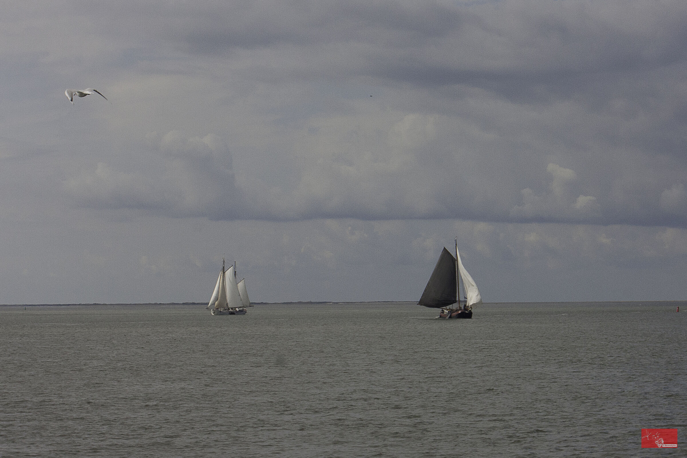 Sailing..  Frisian Islands.. 3...