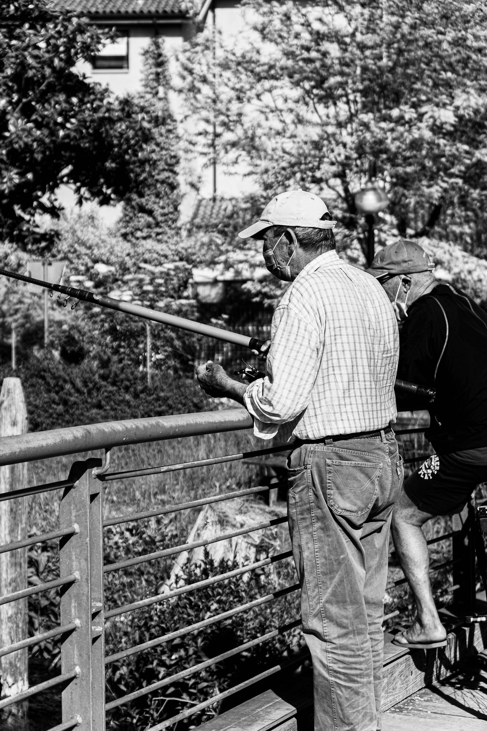 Fishing elder...