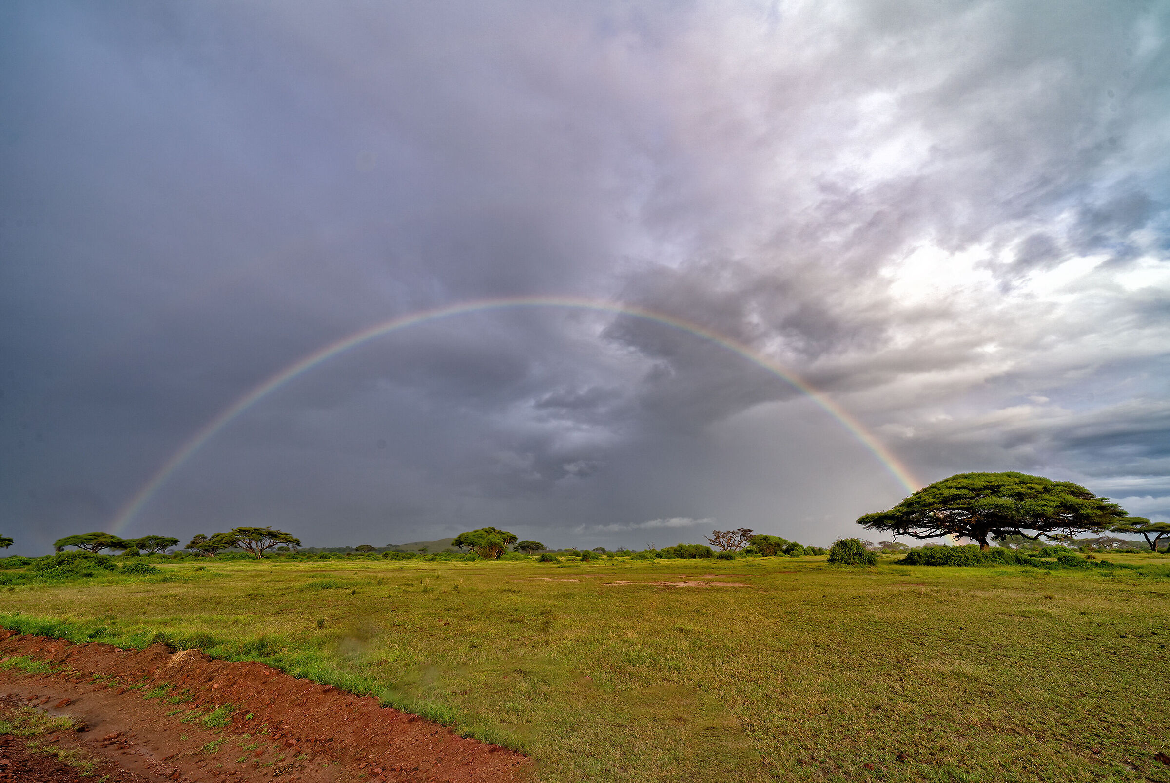 Rainbow on the Amboseli...