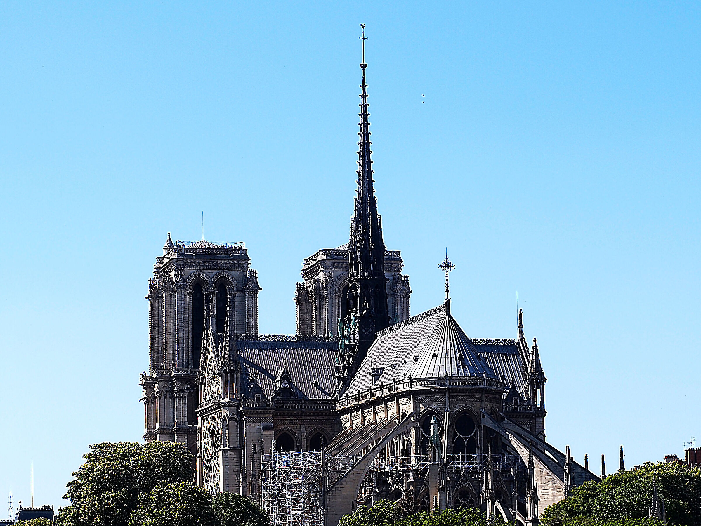 Parigi  Notre- Dame - maggio 2018...