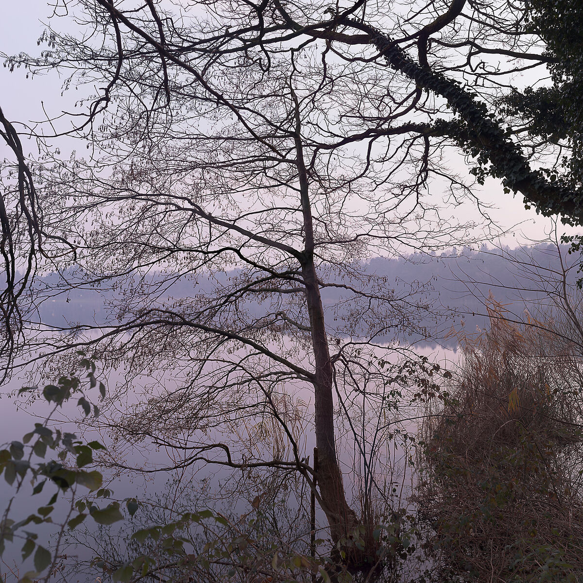 Lago di Montorfano, tramonto decembrino...