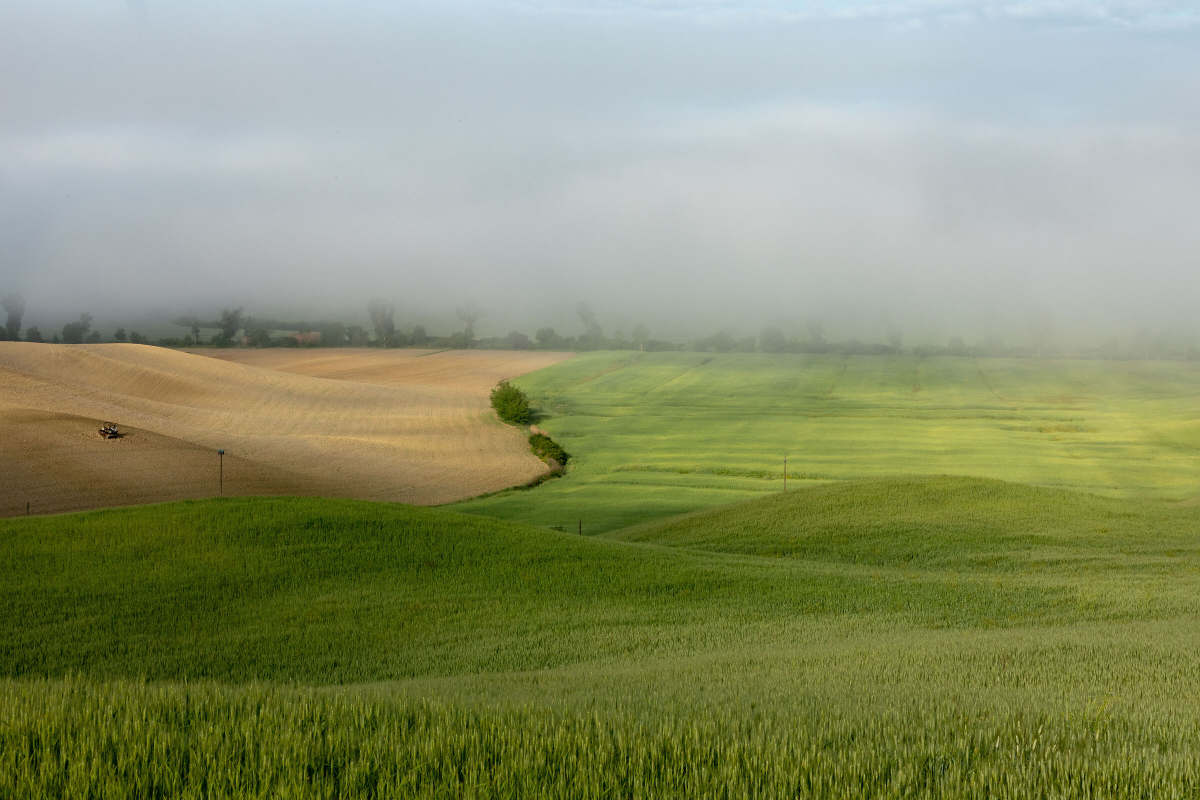 Le Crete Senesi...