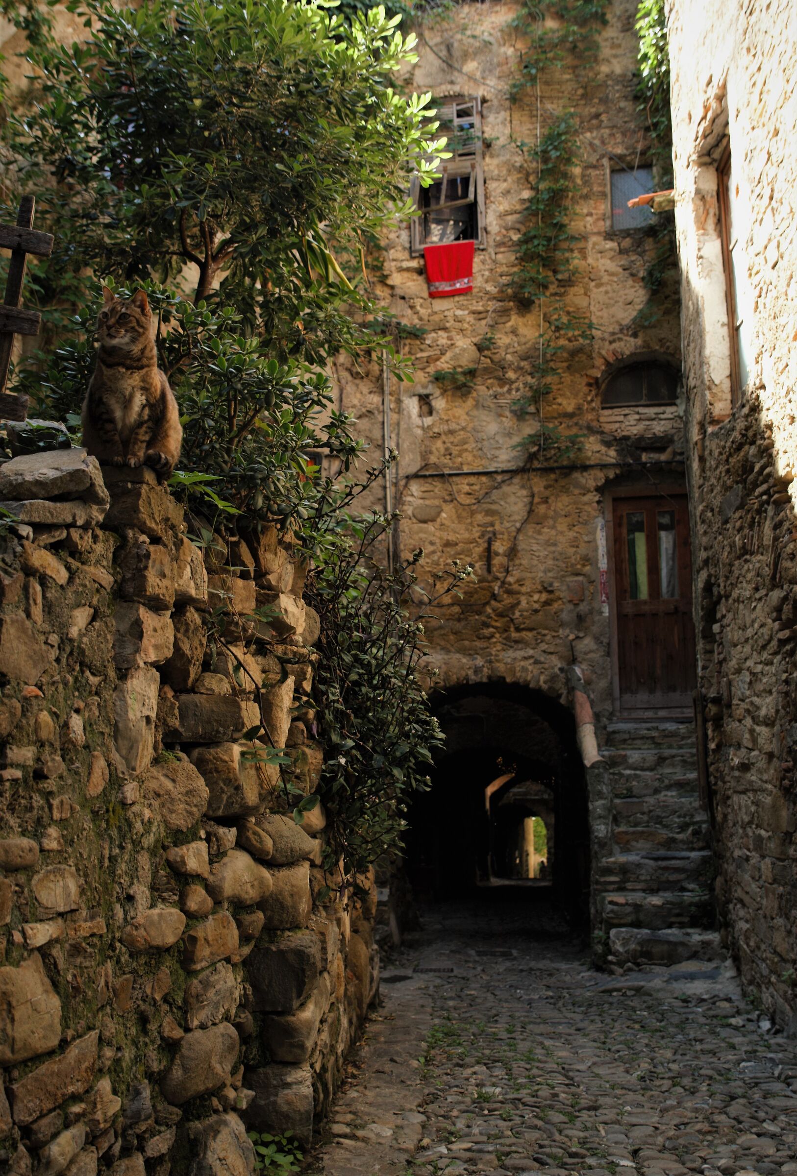 old knock... typical Ligurian carruggi...