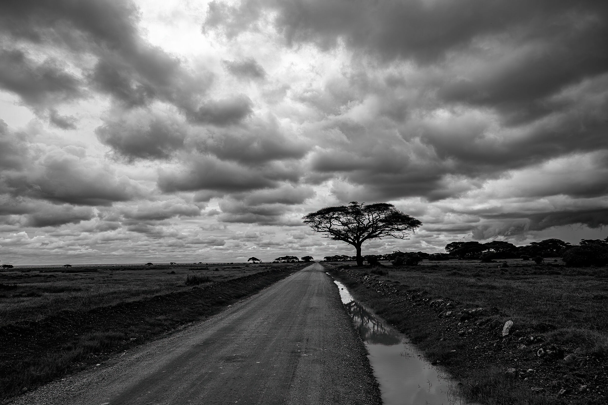 On the road of Amboseli...