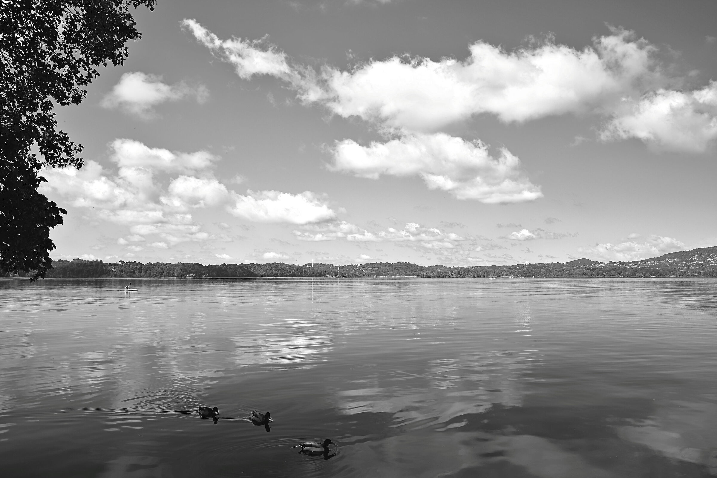 Peace (Lake Pusiano da Bosisio Parini)...