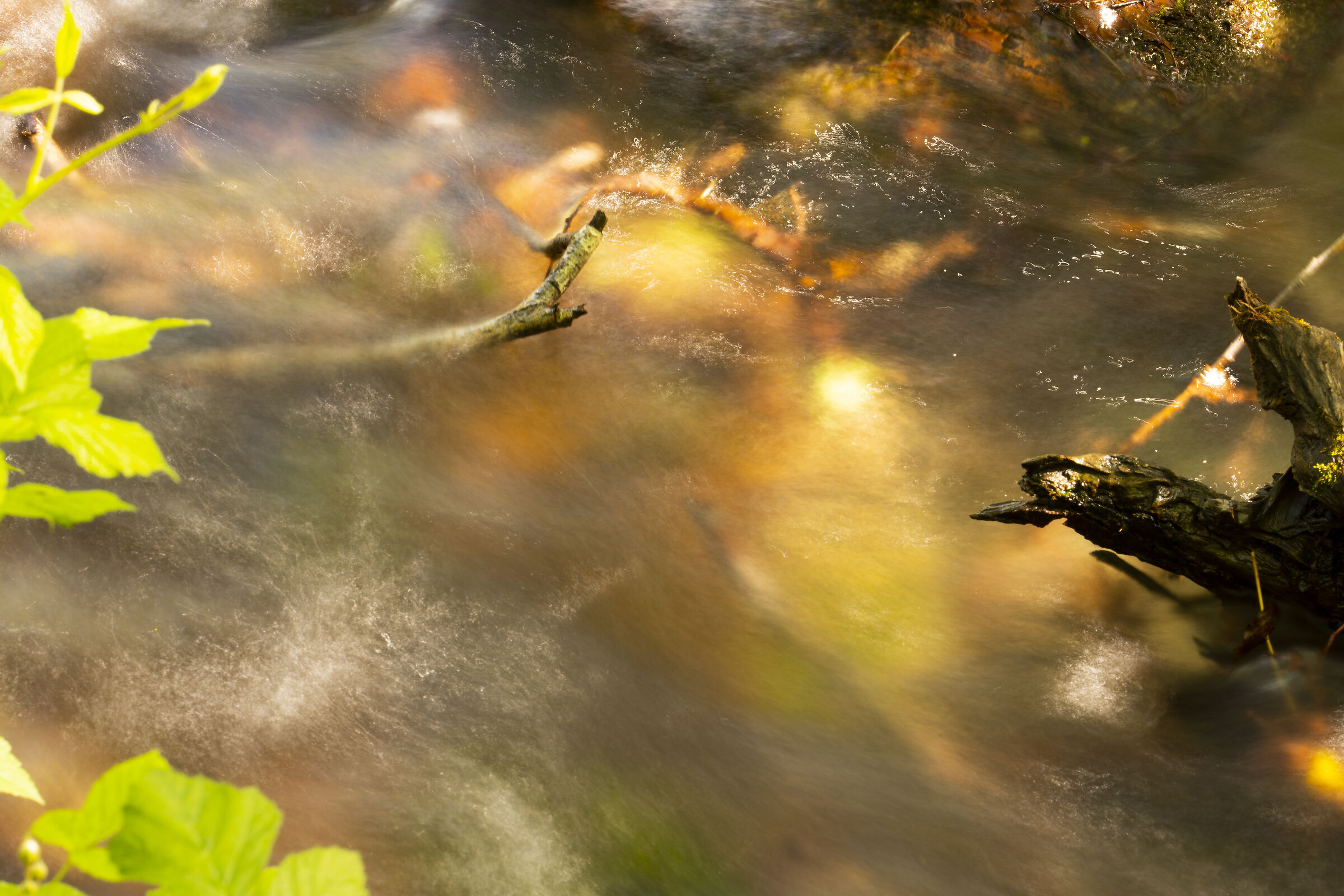 Reflections on the stream...