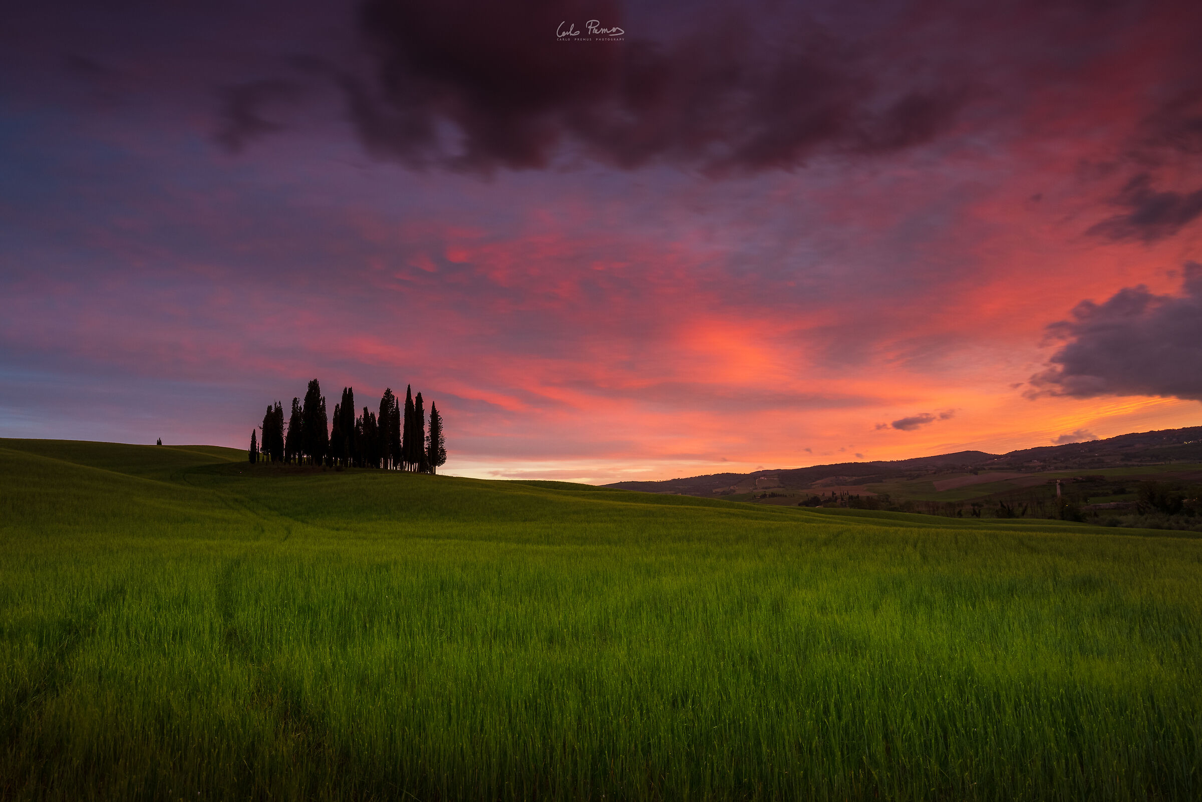 The Cypress Trees of San Quirico d'Orcia...