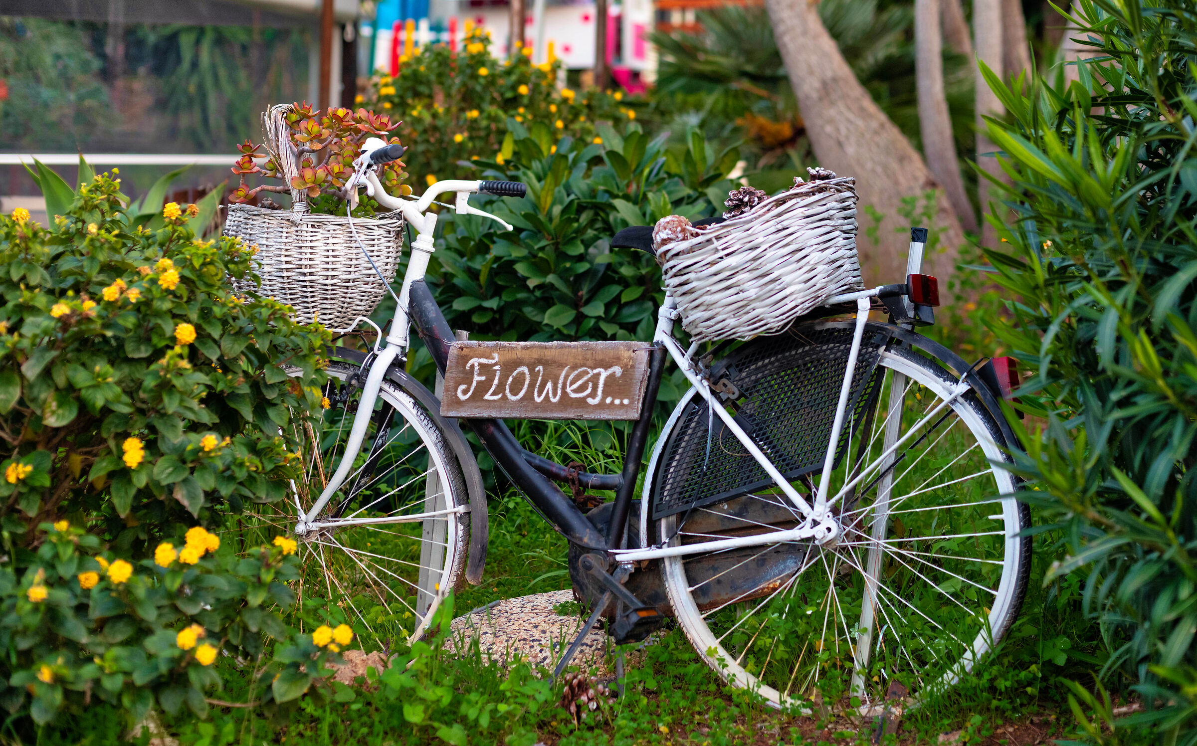 Flowers in bici...