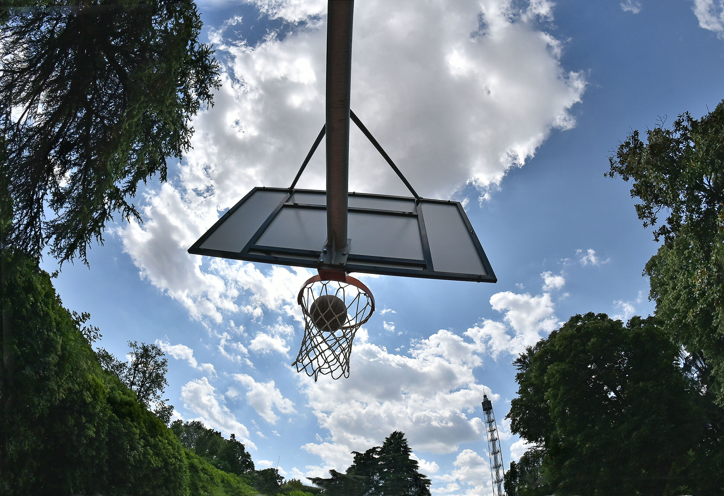 basket...