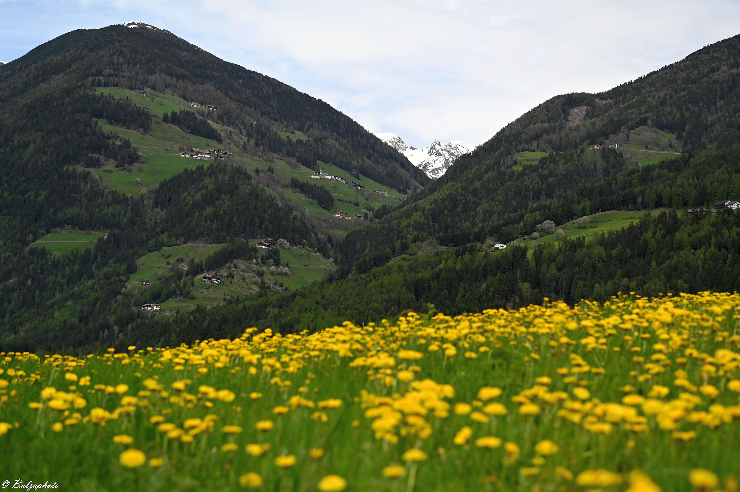 L`Alto Adige é in zona gialla e il bianco è lontano...