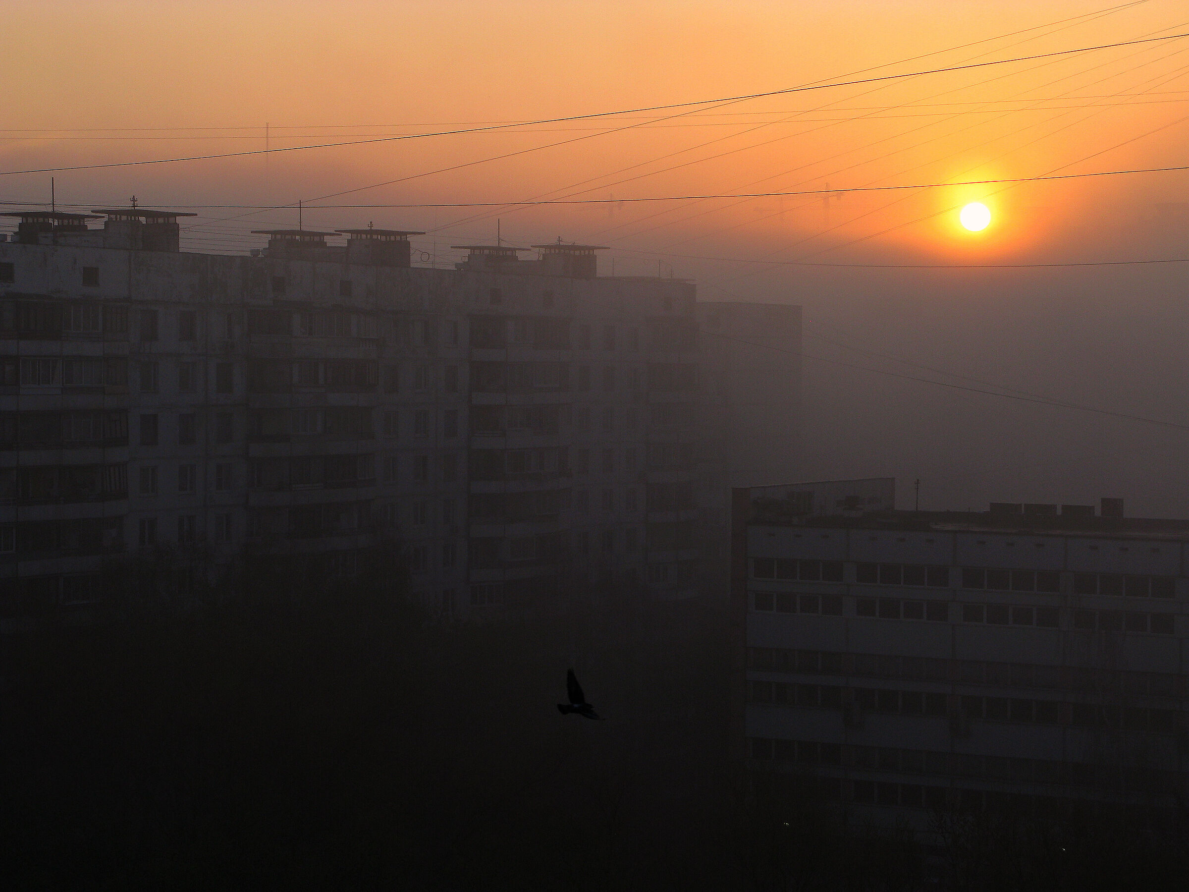 Urban view#12 (Fog. Sunrise)...