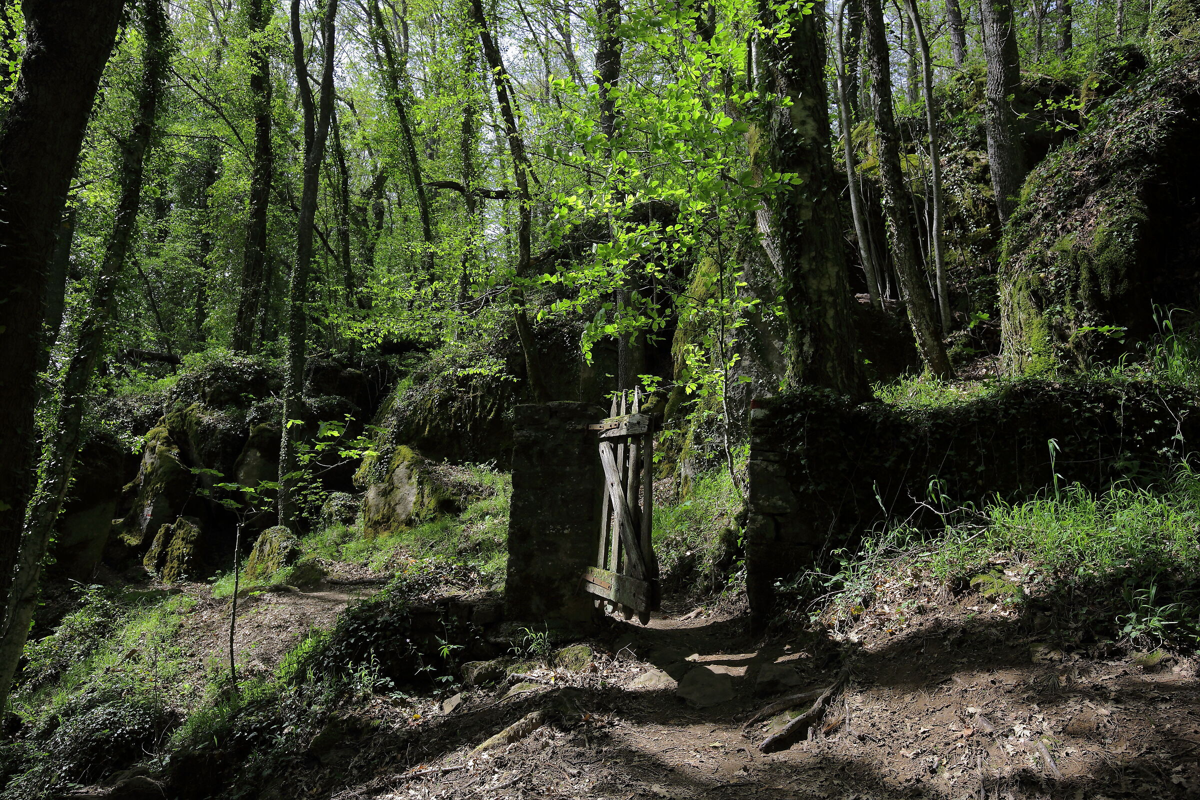 The entrance to the Forest of Fairies...