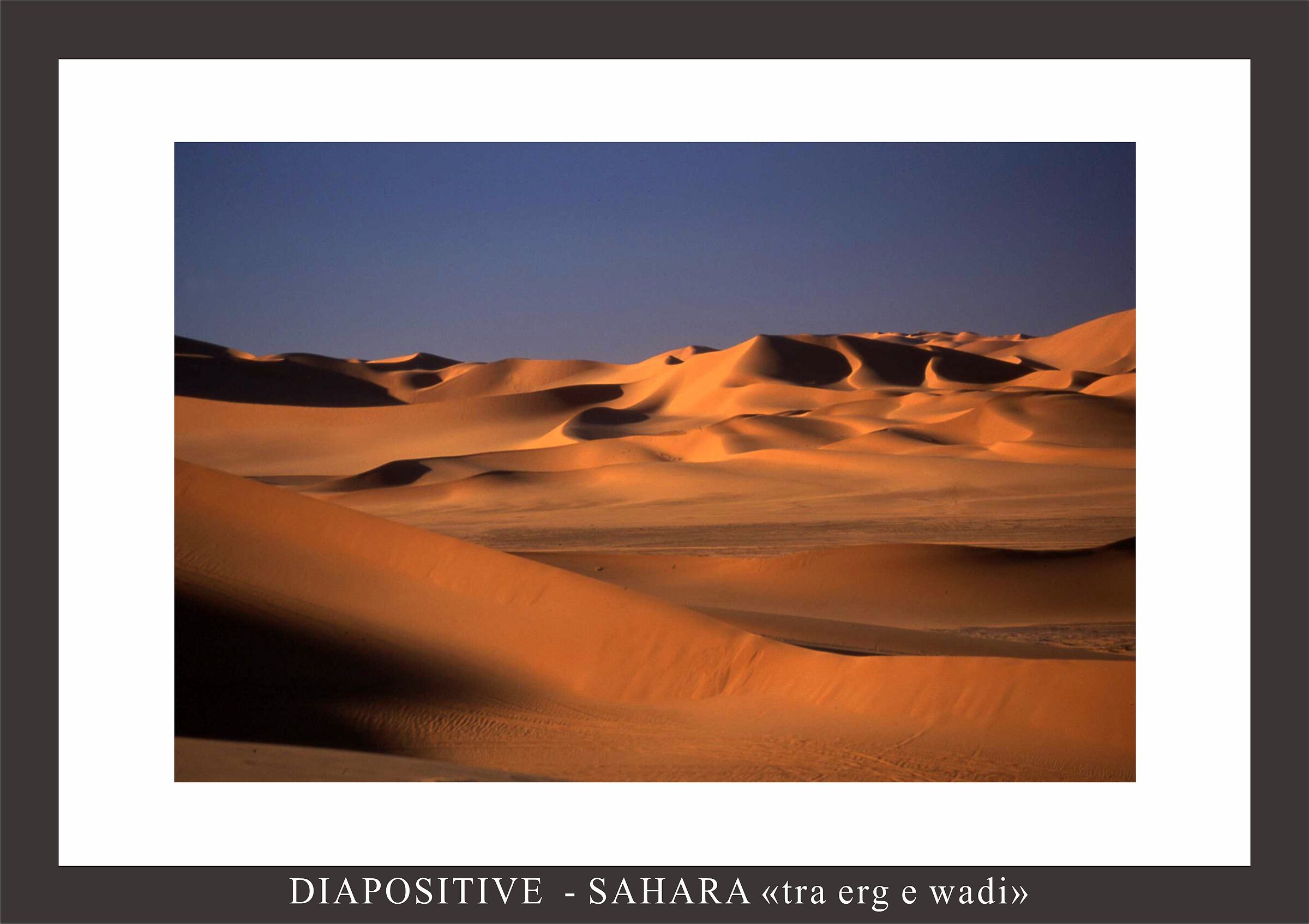Saharan erg...