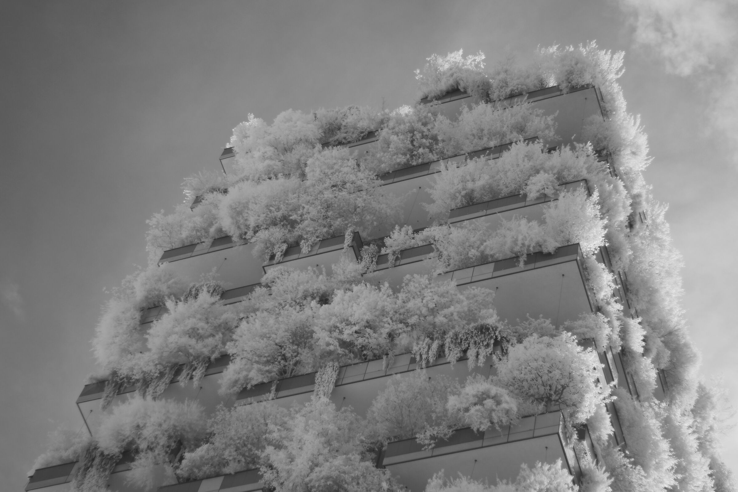 Vertical Forest top [INFRARED]...