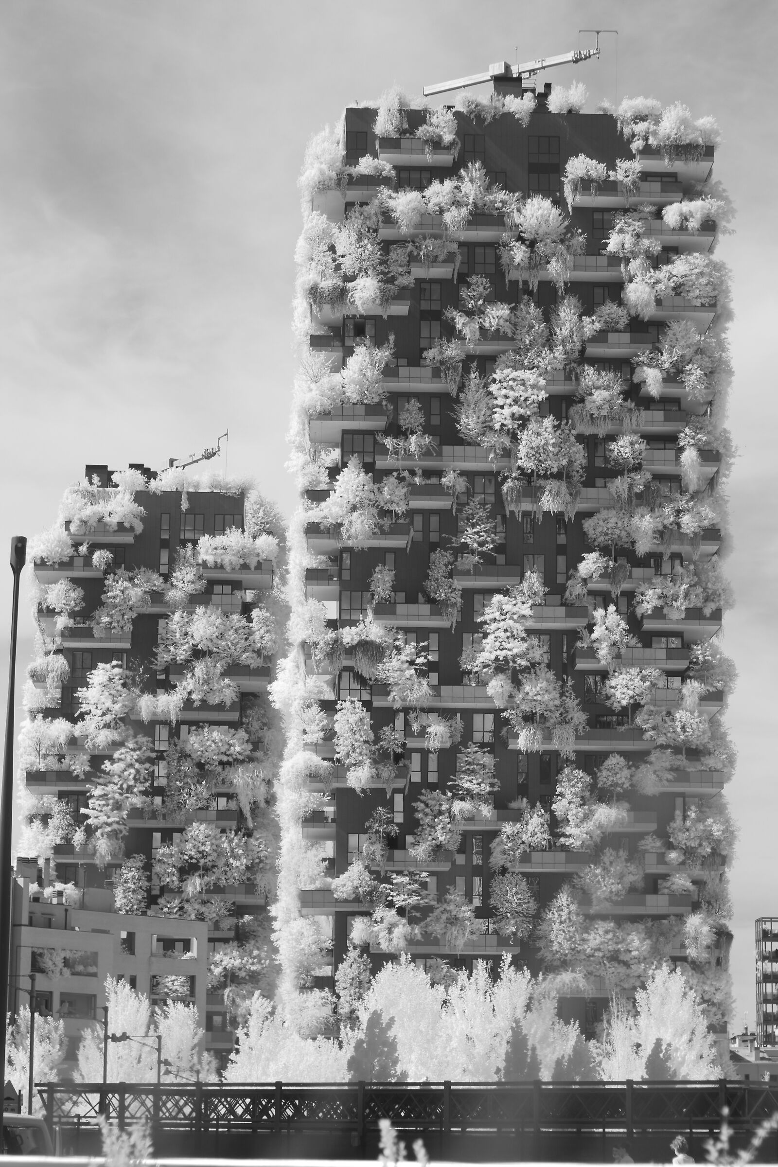 Vertical Forest [INFRARED]...